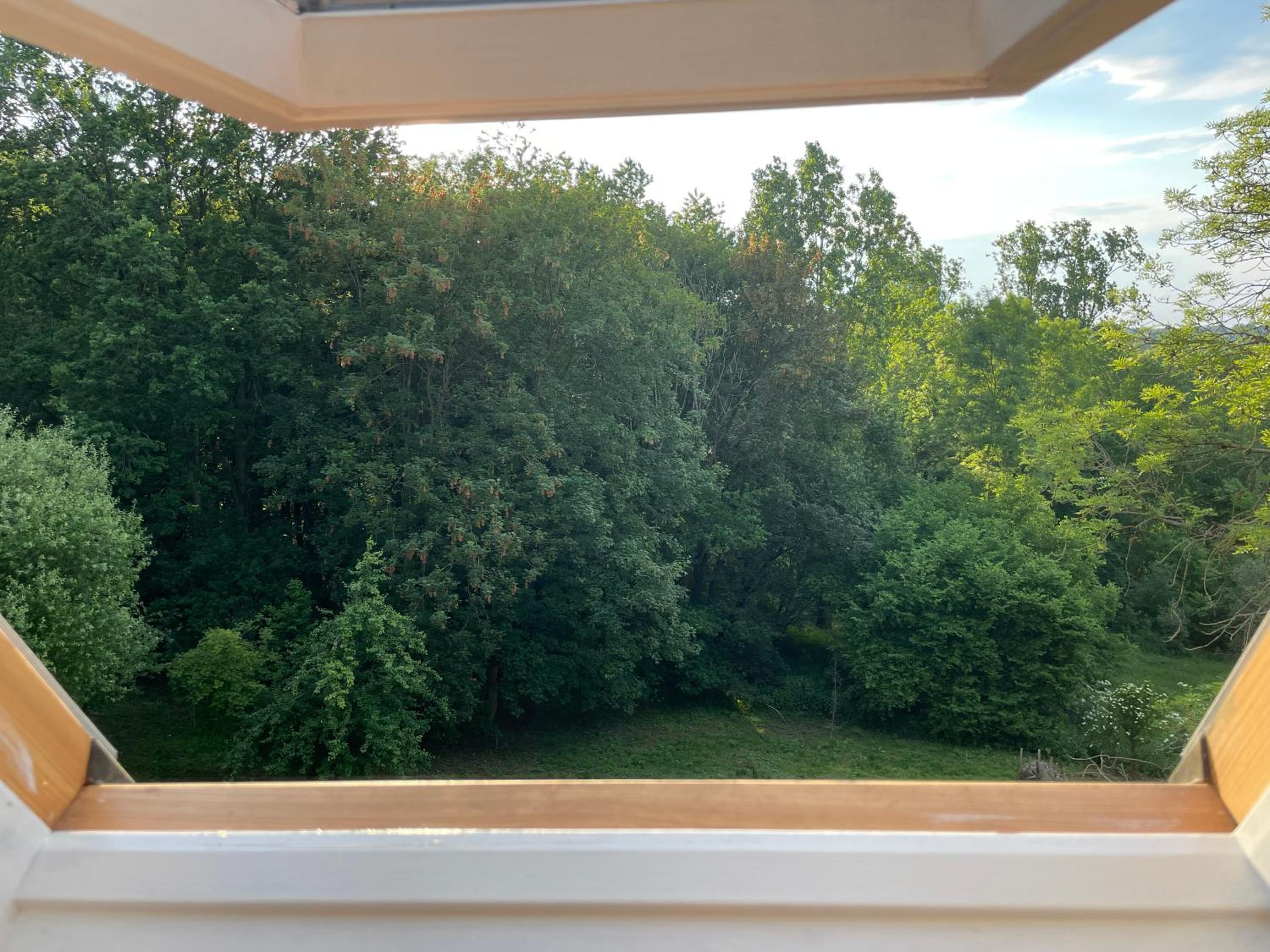 La Canopée des Arbres, Juliette