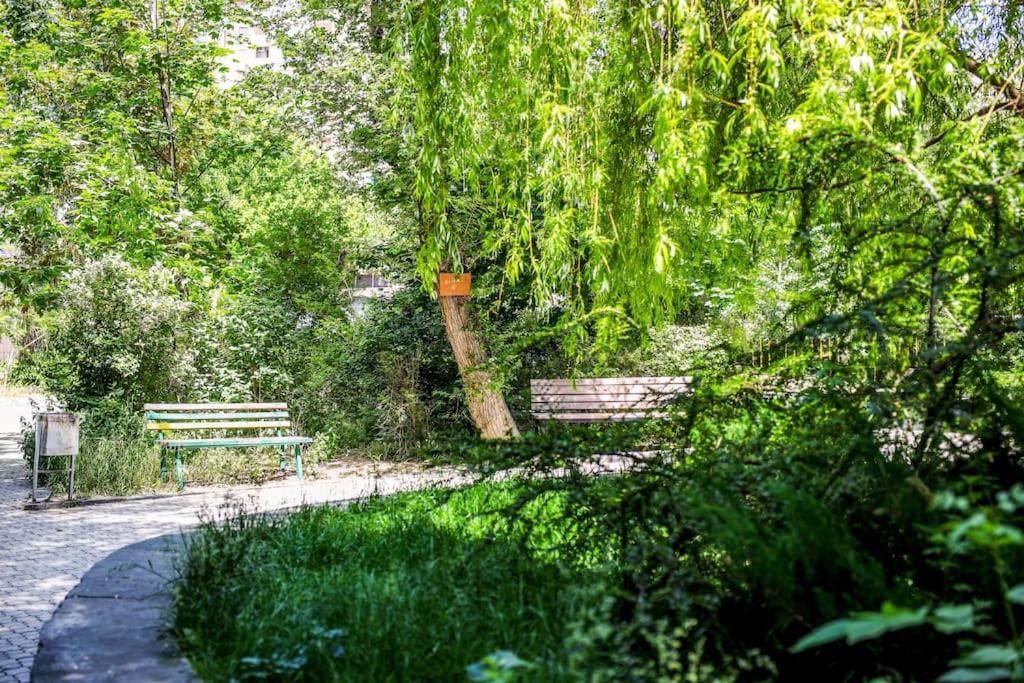 Family Apartment in Yerevan