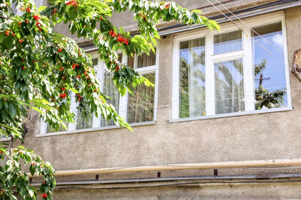 Family Apartment in Yerevan