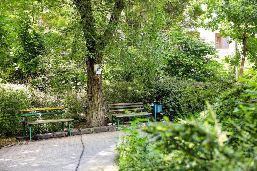 Family Apartment in Yerevan