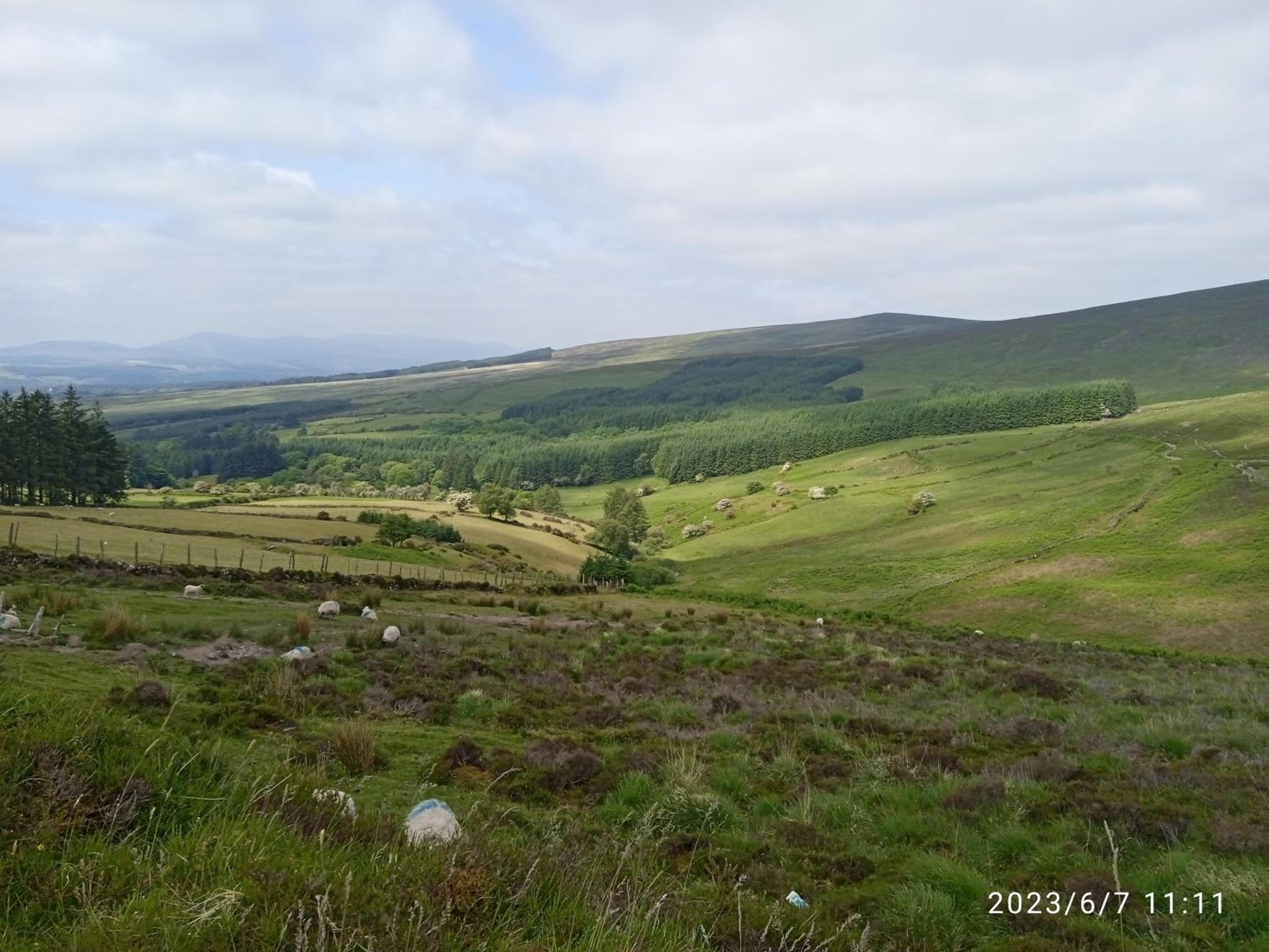 Nire Valley Cottage