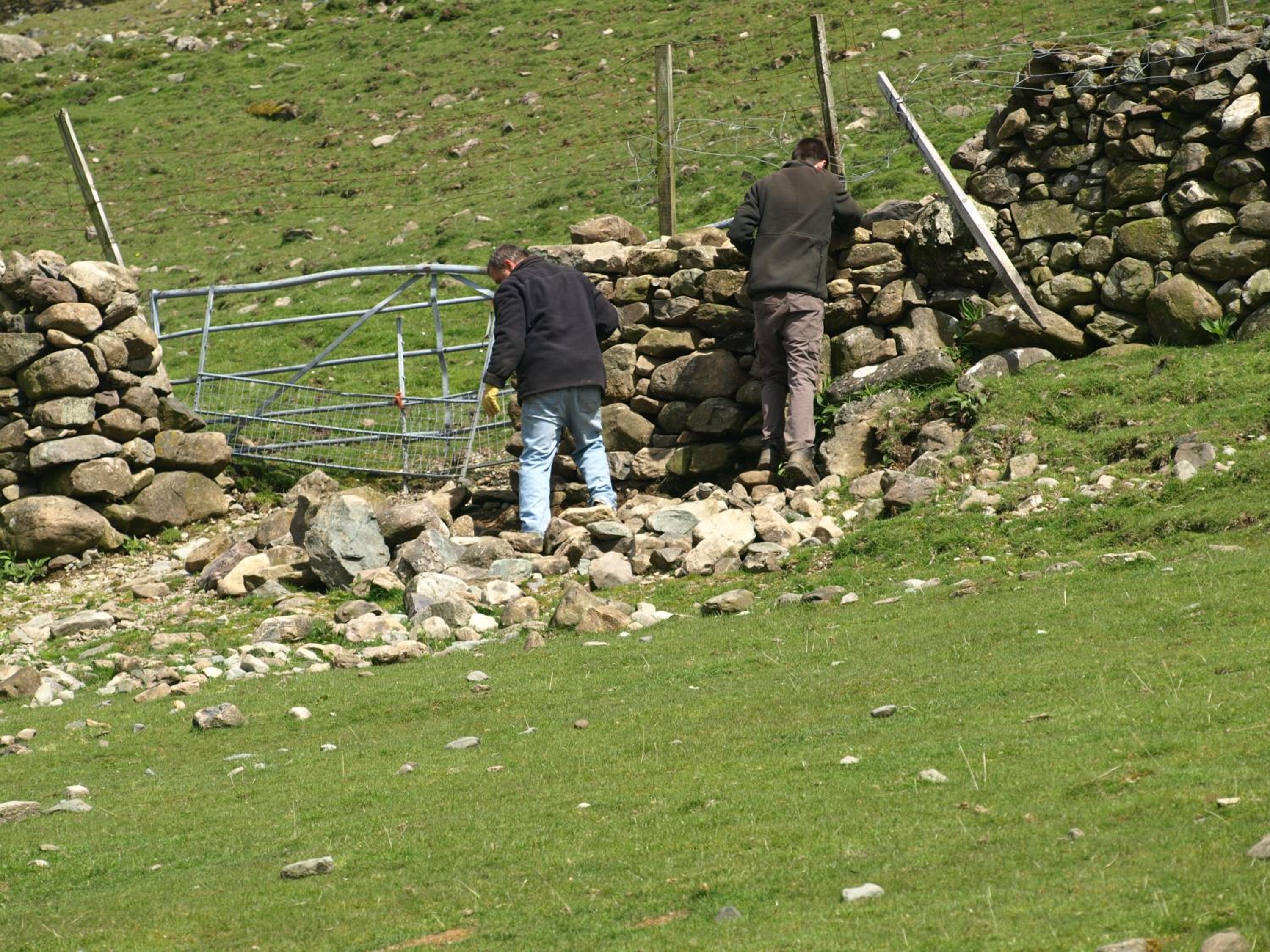 Photo 29