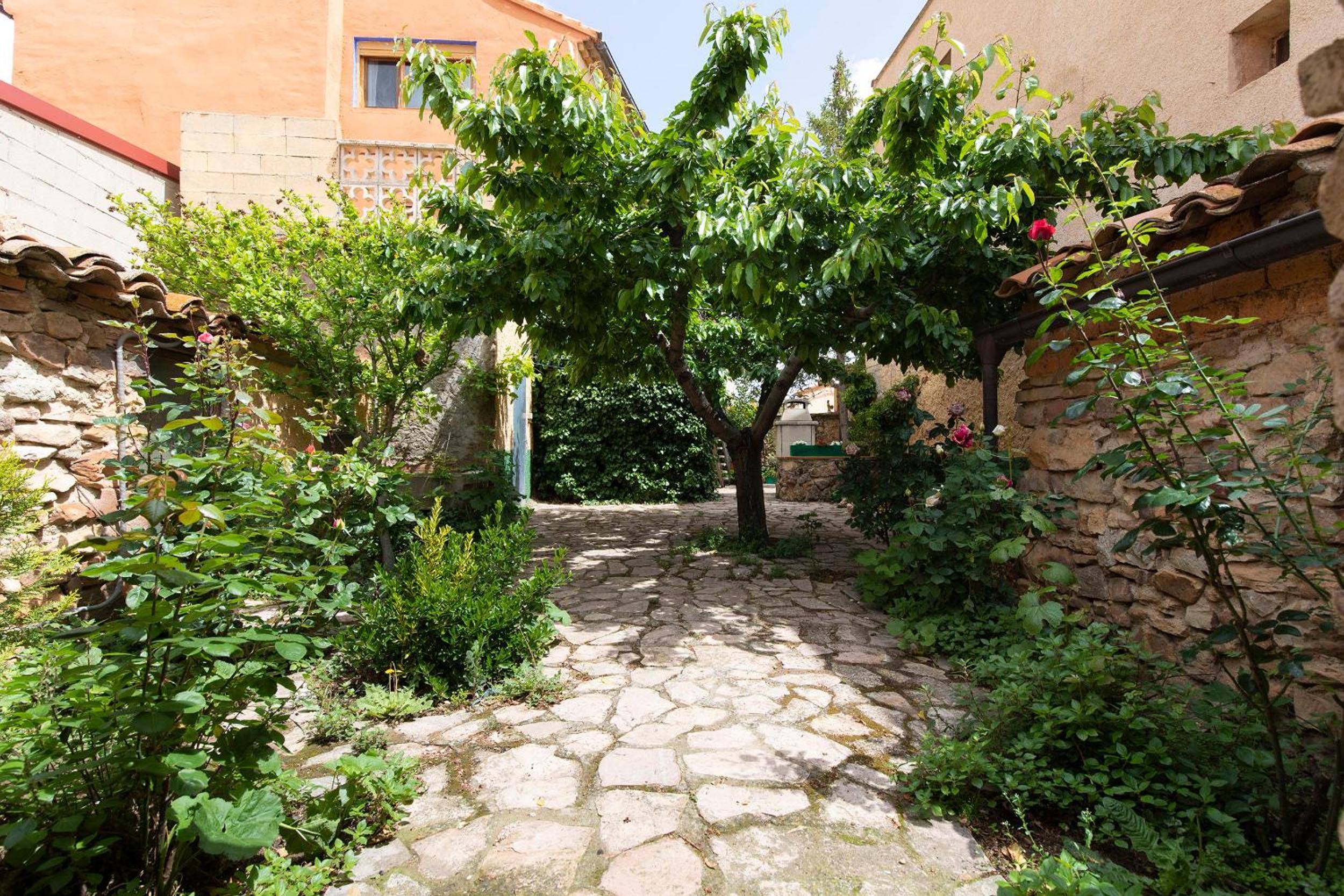 Photo 8