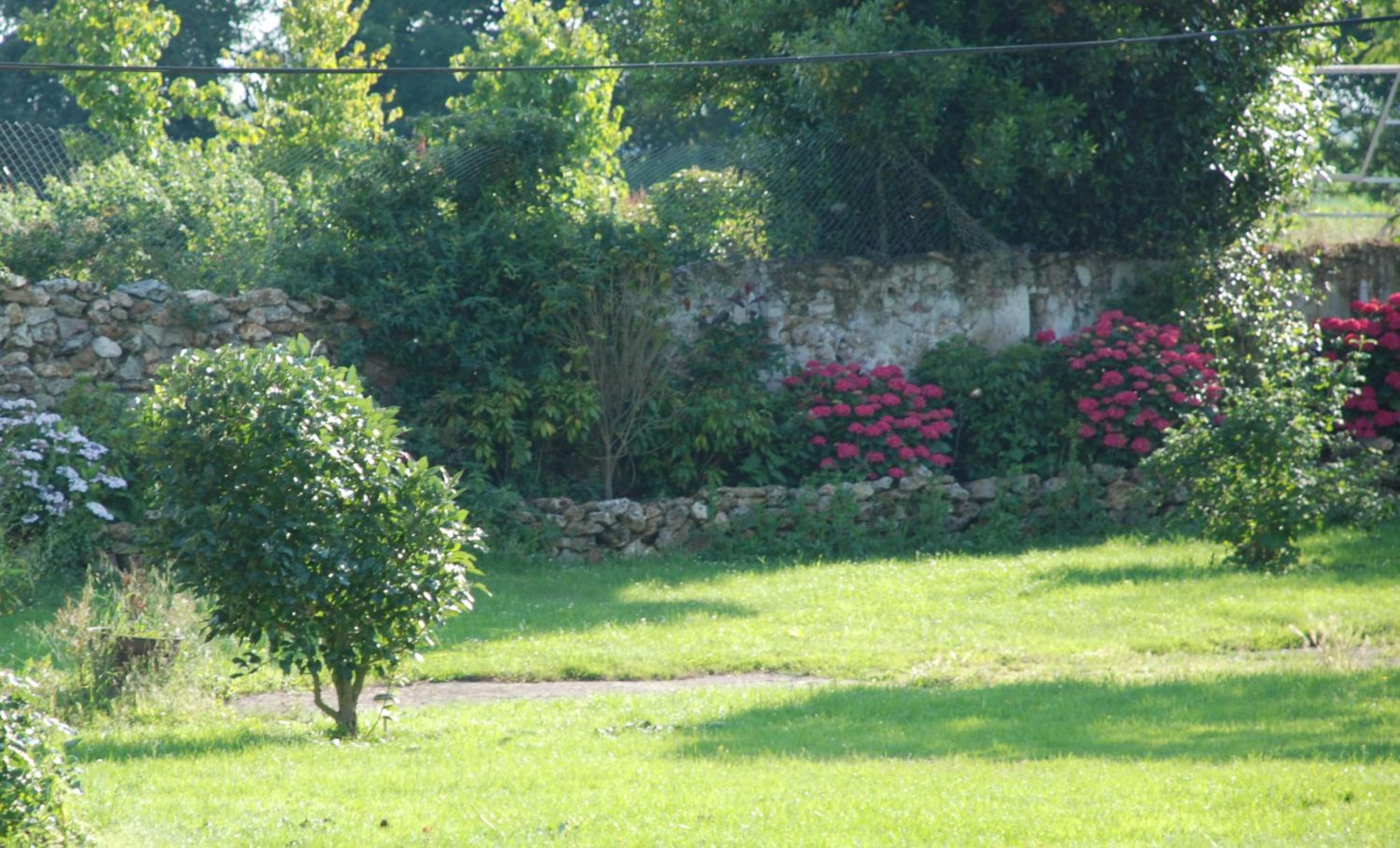 Photo 44
