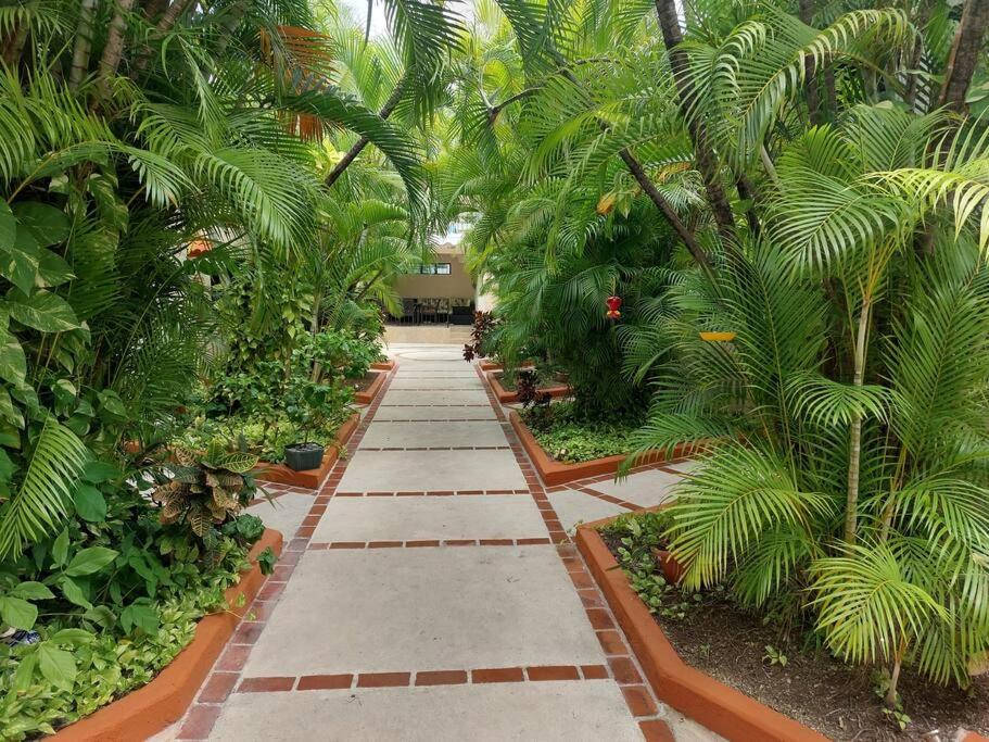 Villas Cozumel #8 view 2