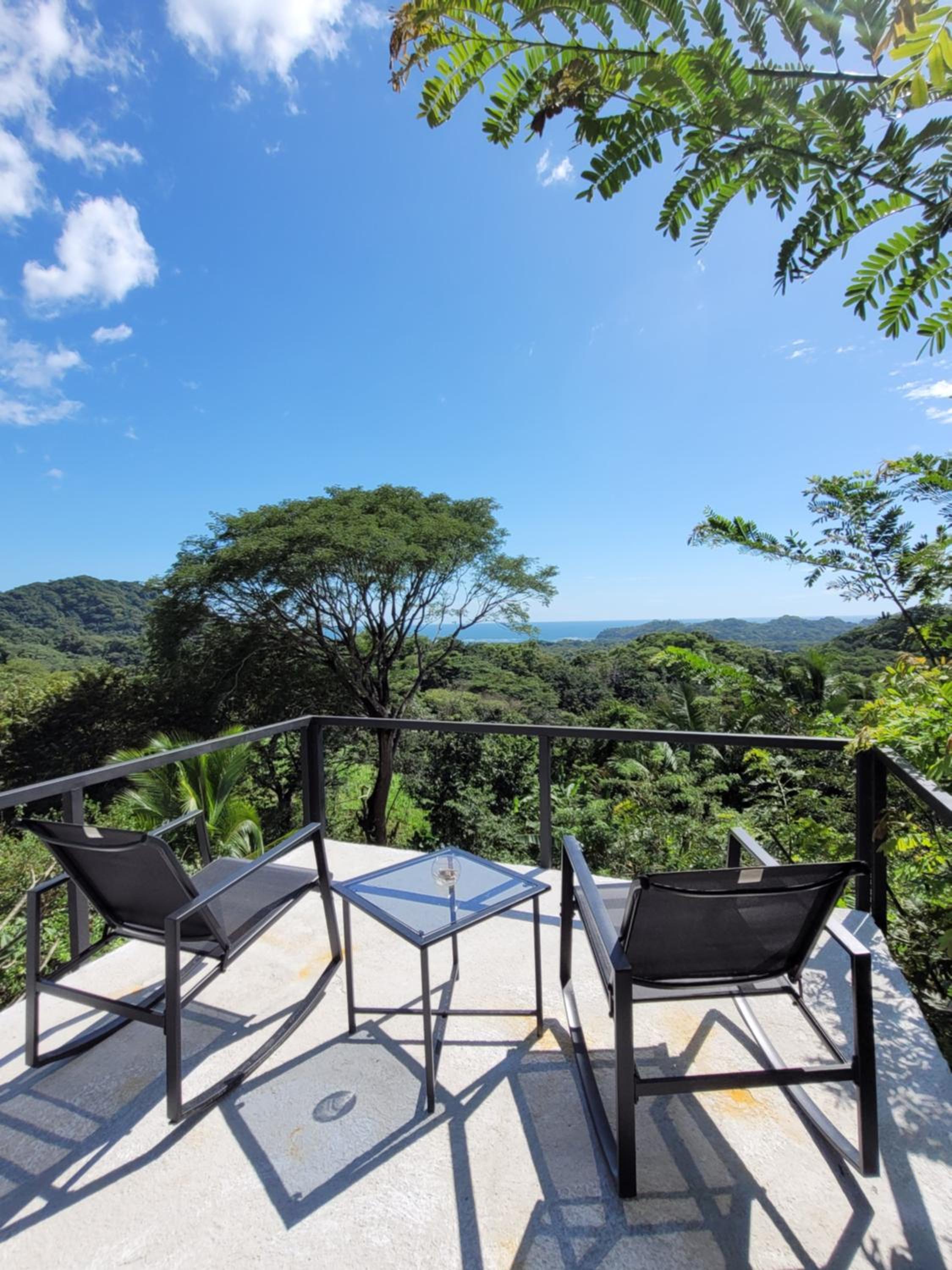 Villa Martina Palmgarden view 5