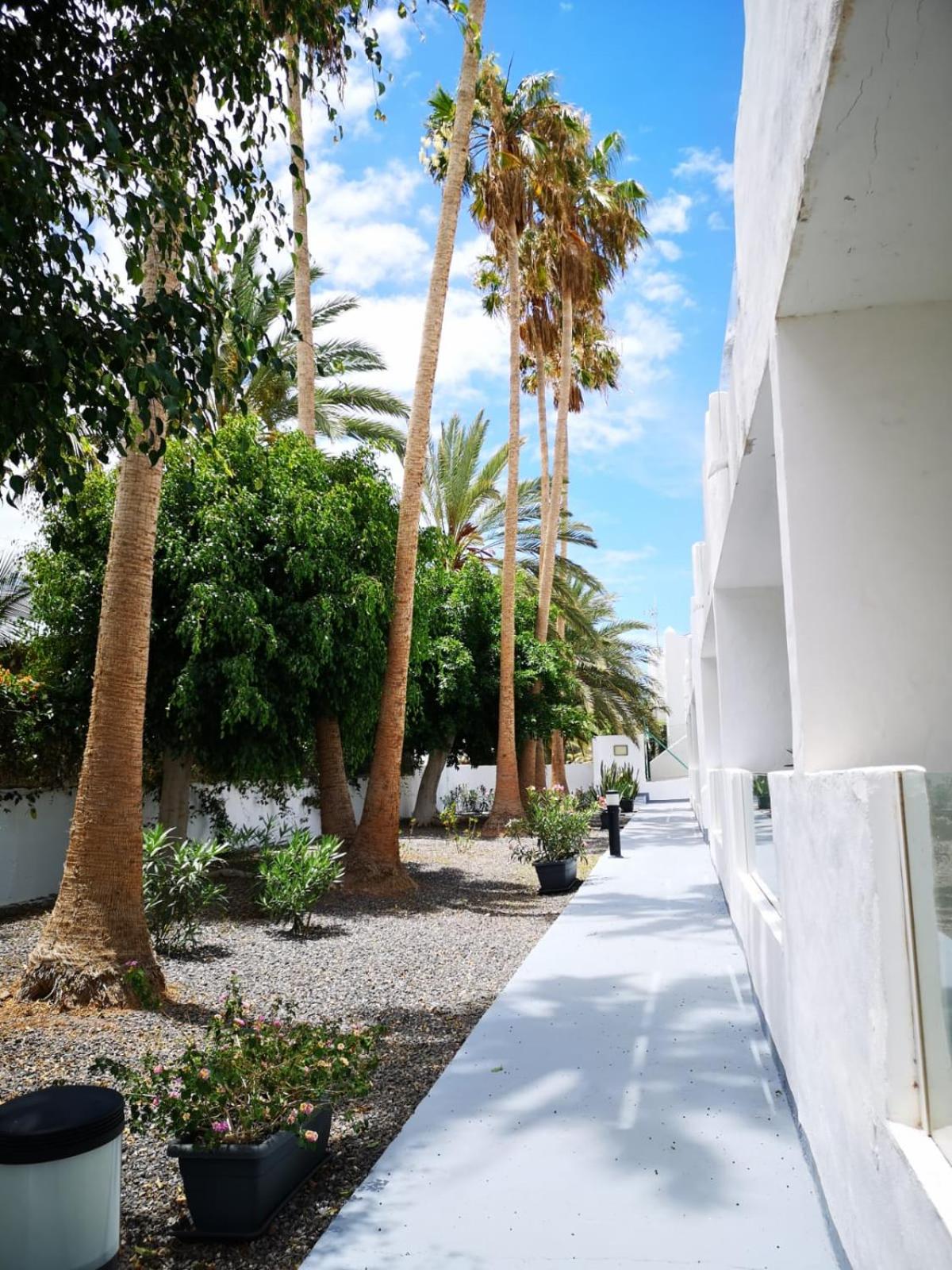 Estrella de Mar