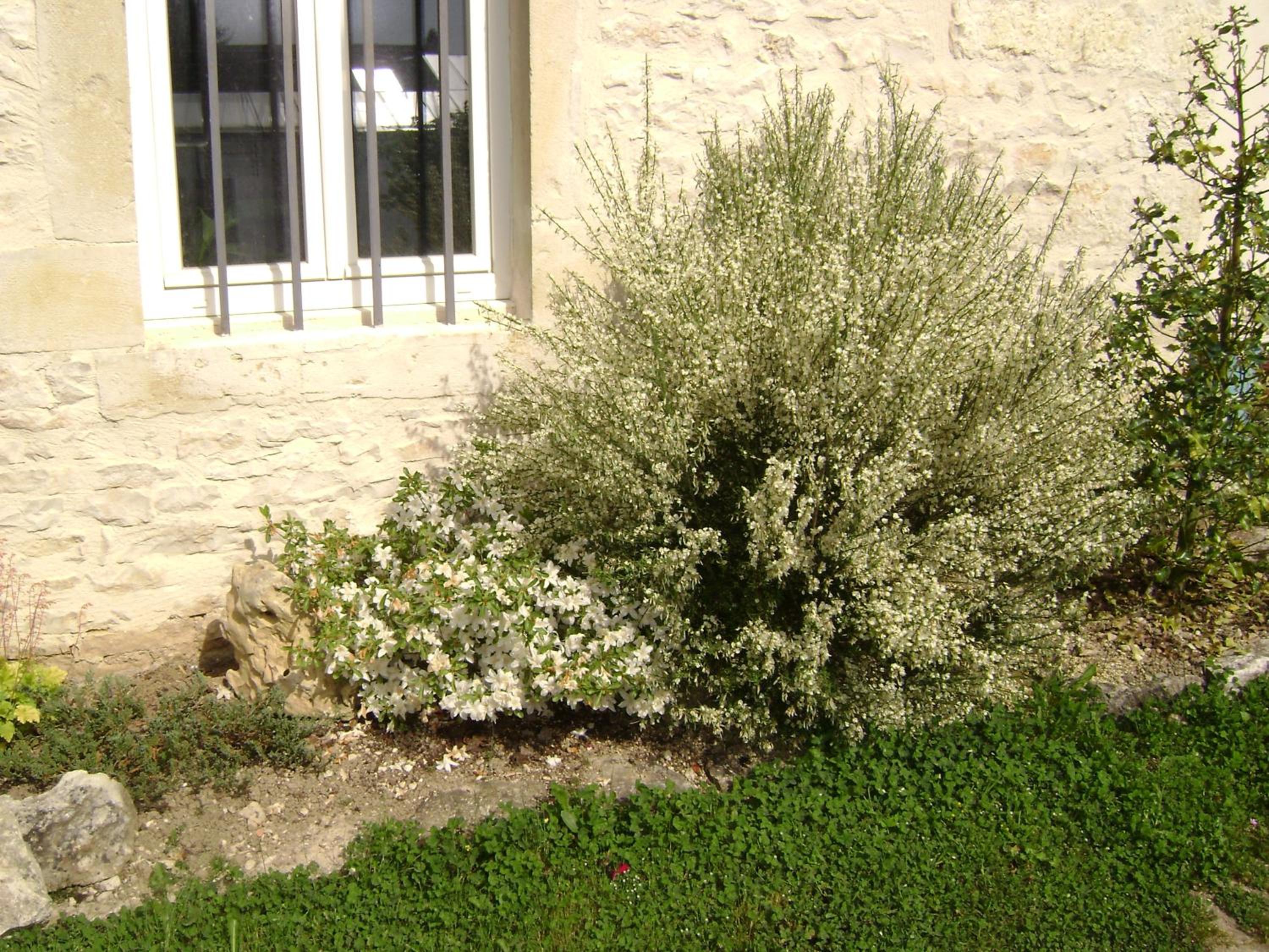 Photo 22