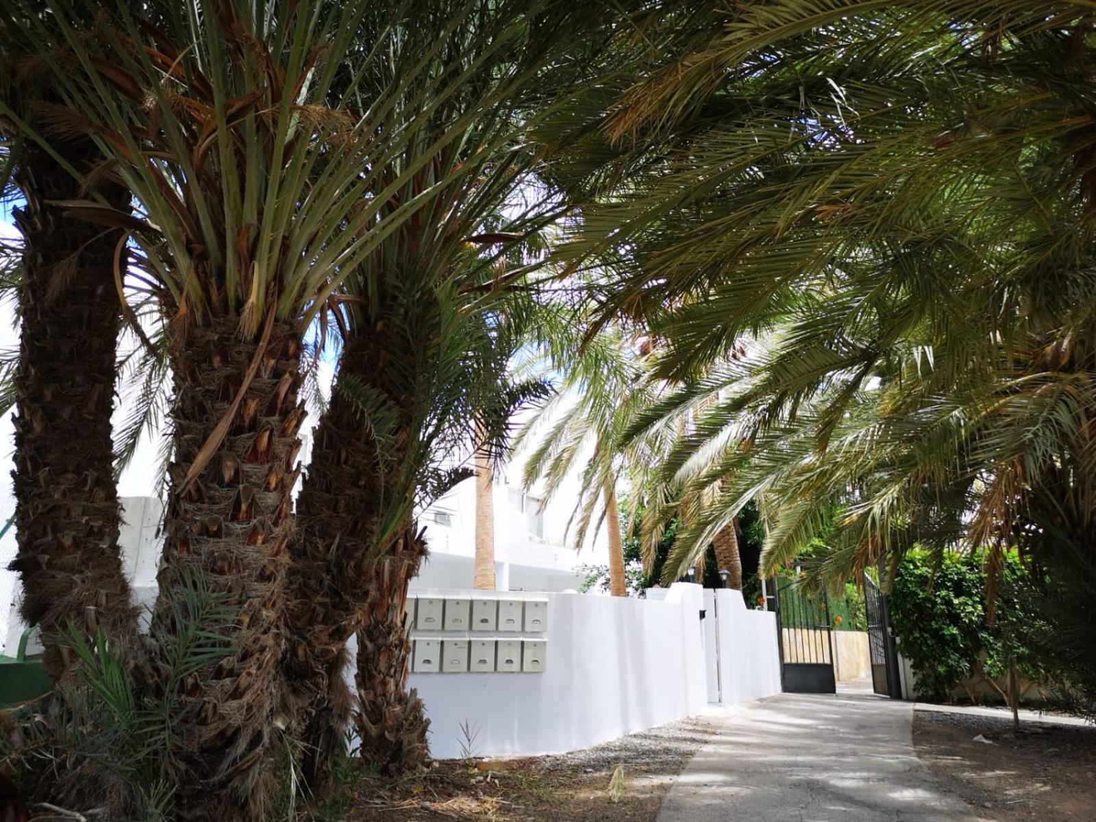 Estrella de Mar