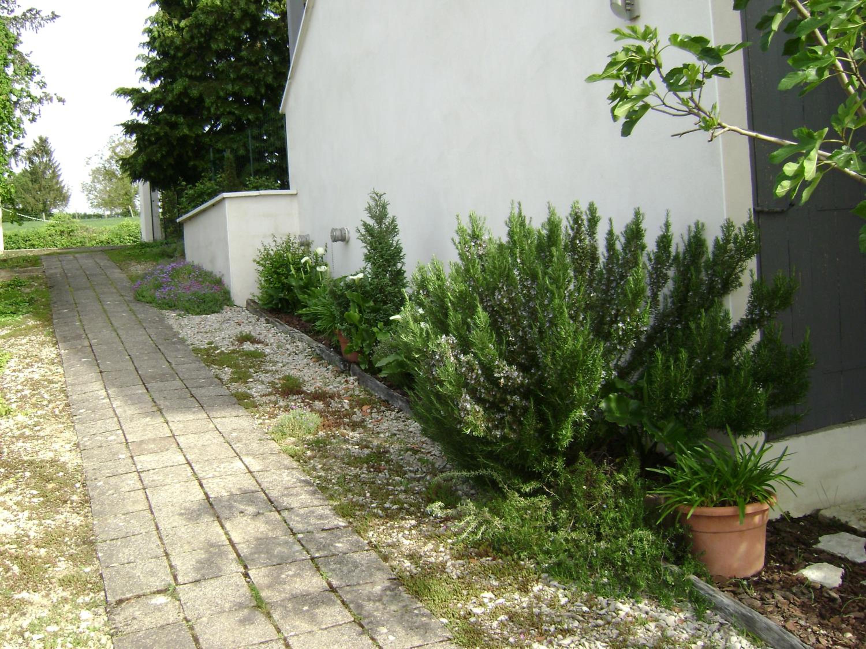 Photo 43