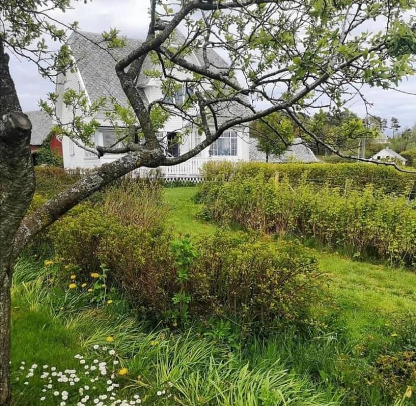 Shared Farmhouse