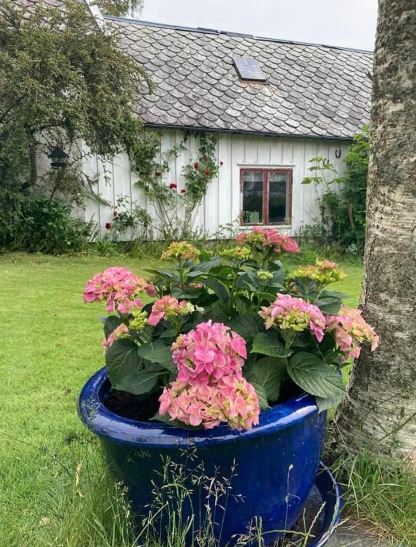 Shared Farmhouse