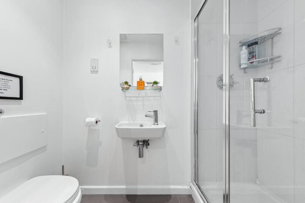 Piccadilly Haven, Flat in London VR12