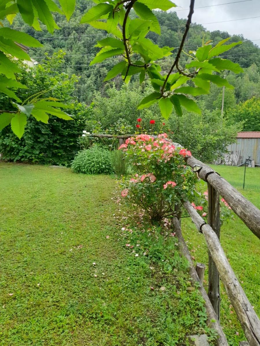 Casa vacanze Alloro photo 3