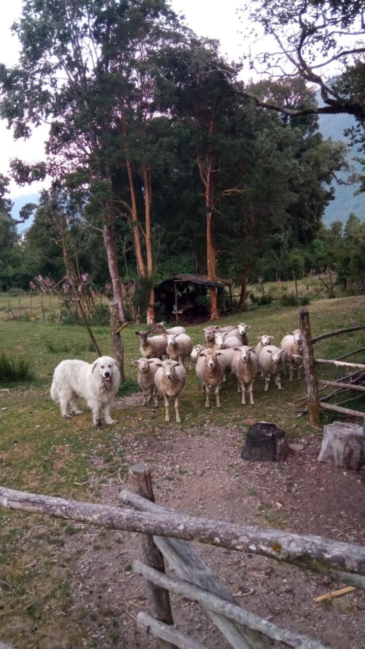 Termas Comau