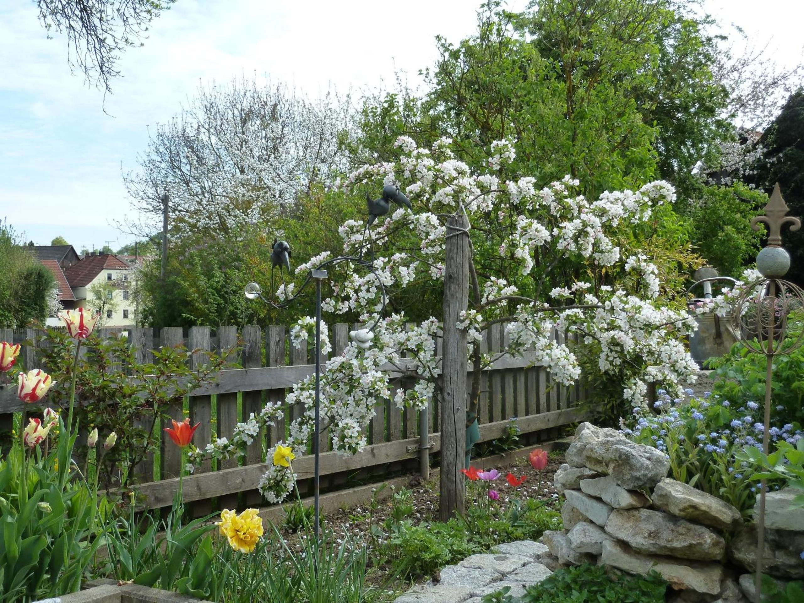 Photo 11