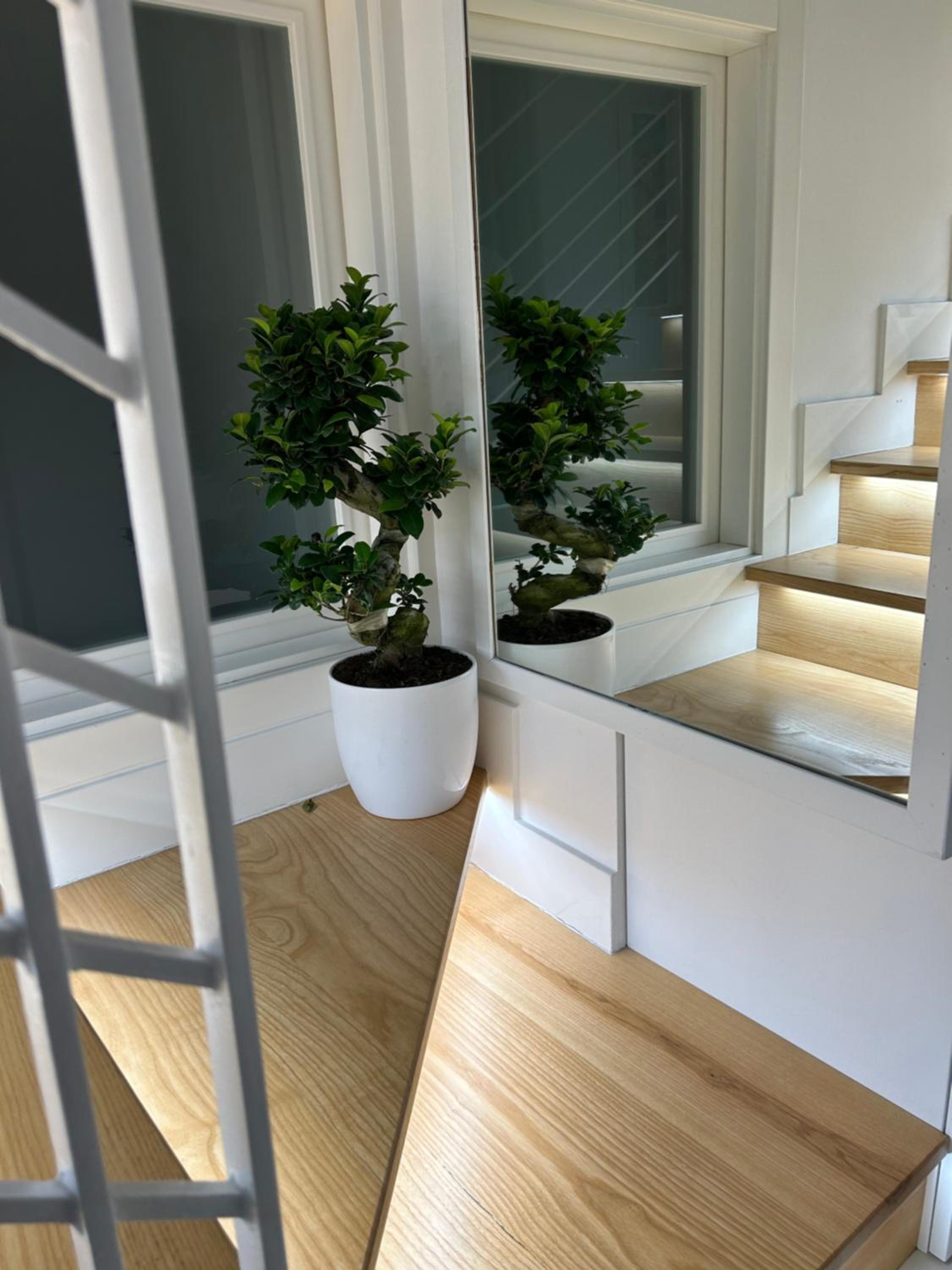 Vesuvia B&b Luxury Living Pompei