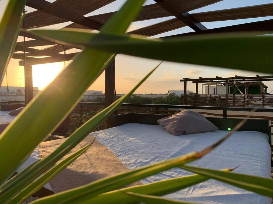 roof