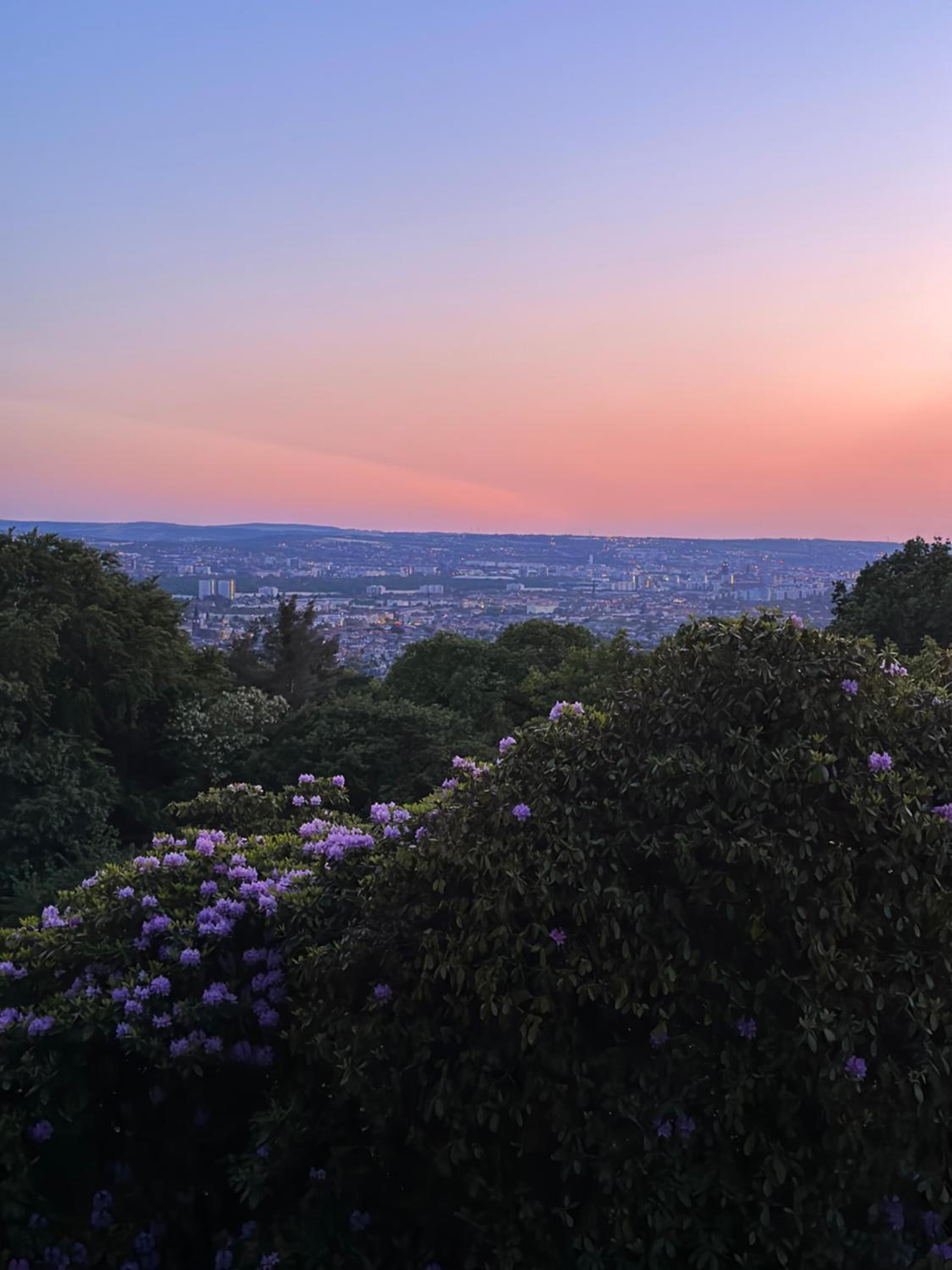 Oasis Appart - Wohnen im Königspark - Elbhang Dresden - große Terrasse - Netflix - TG