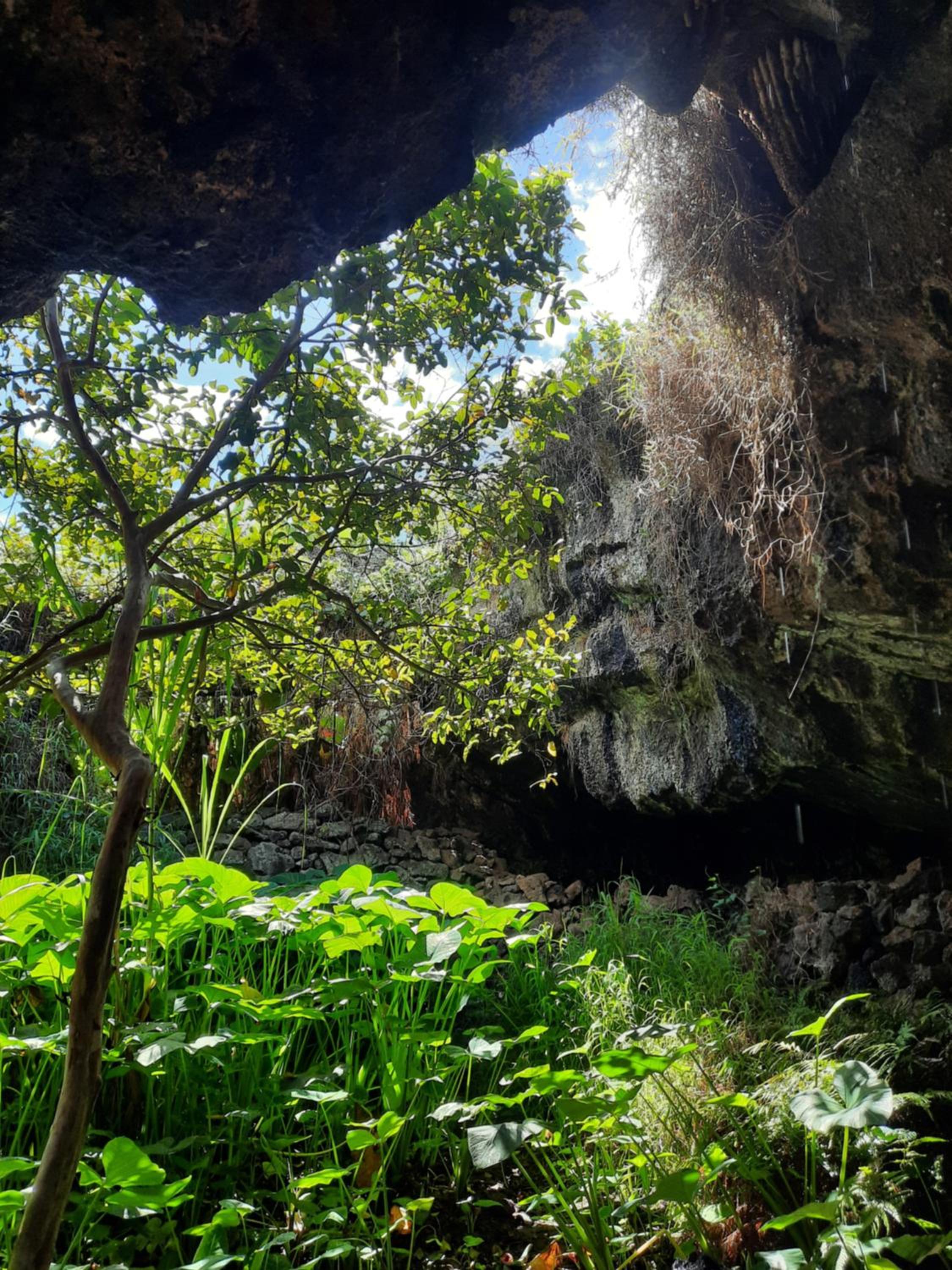 Moehiva Camping Rapa Nui