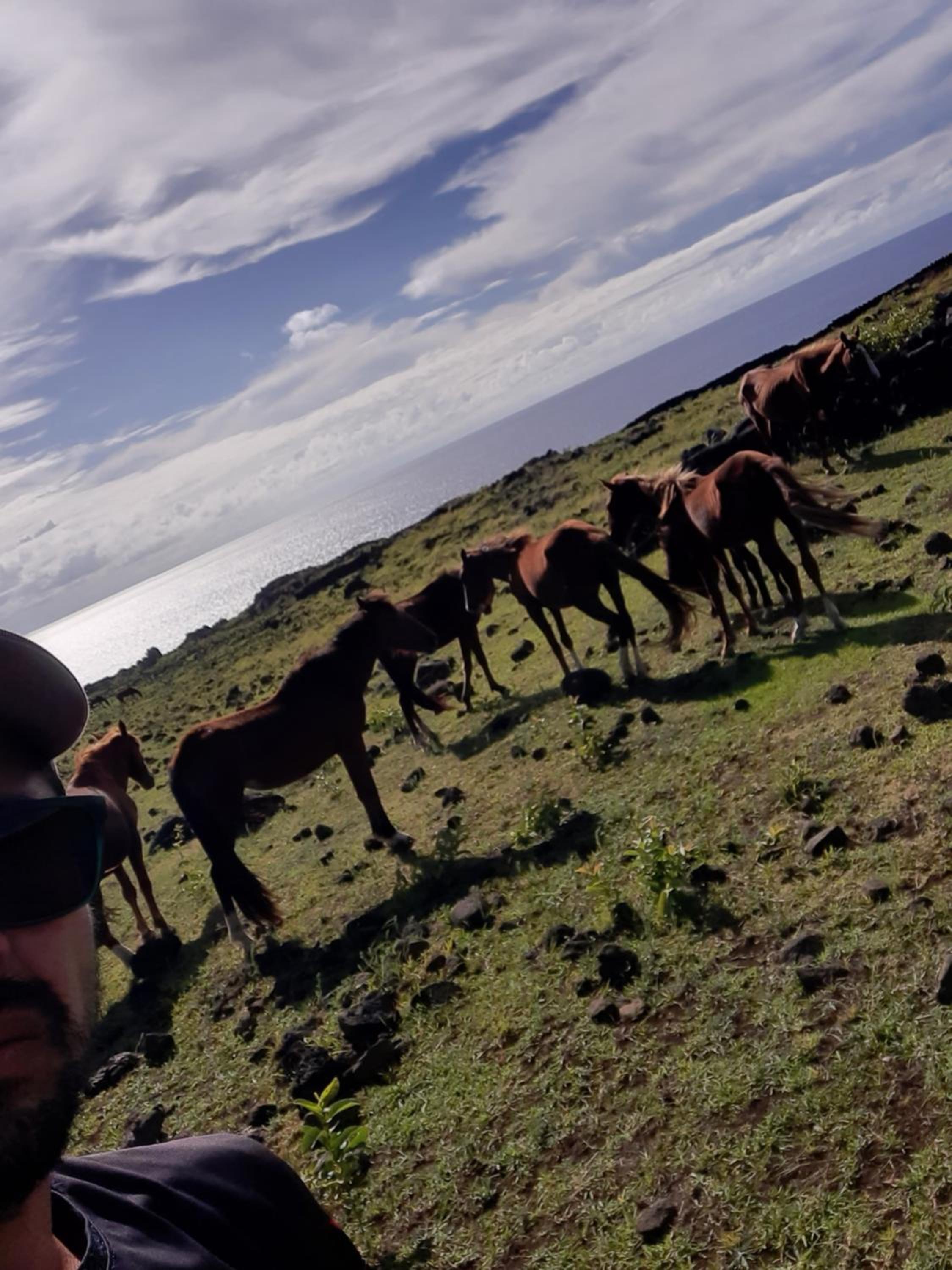 Moehiva Camping Rapa Nui