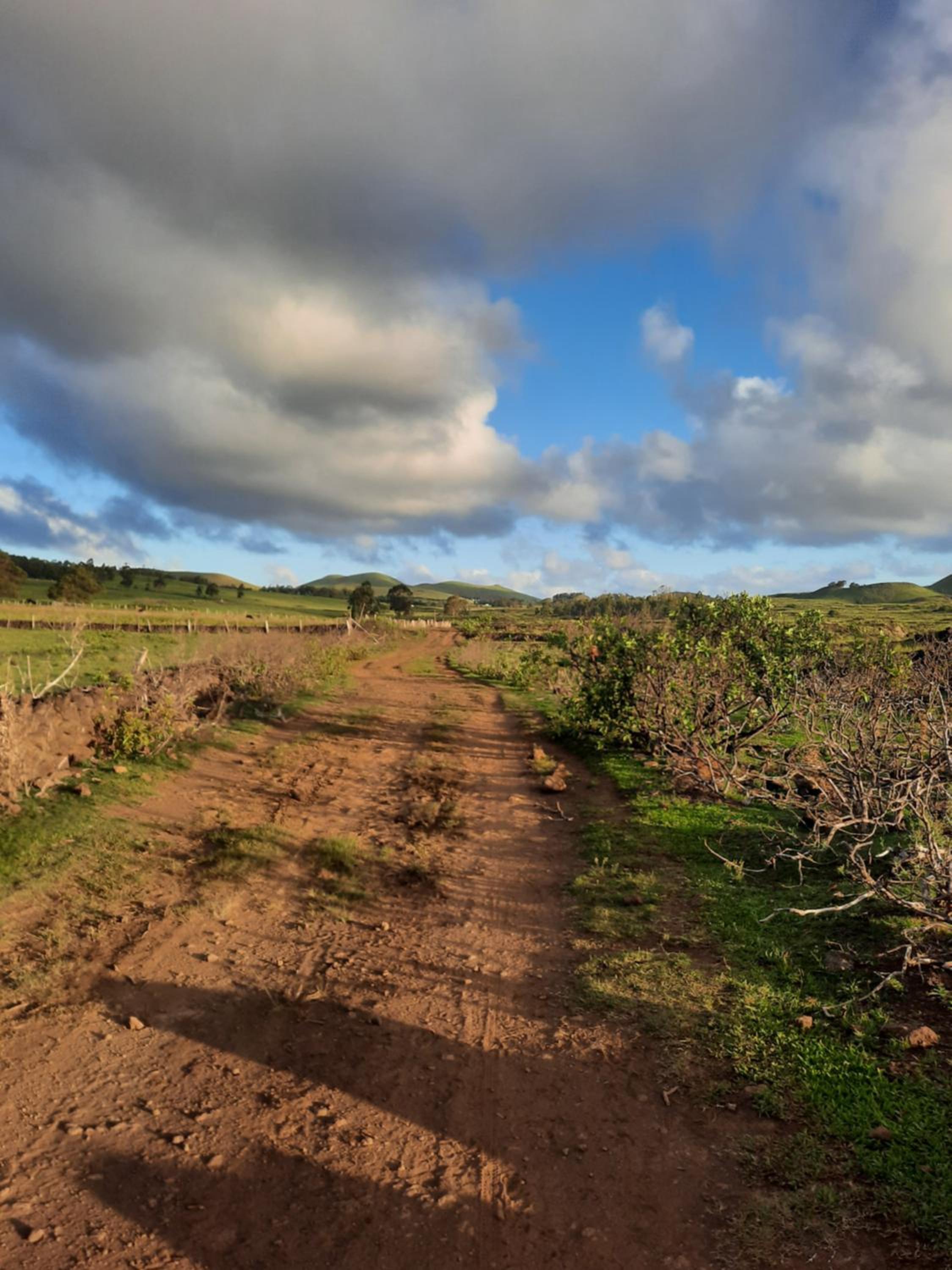 Moehiva Camping Rapa Nui