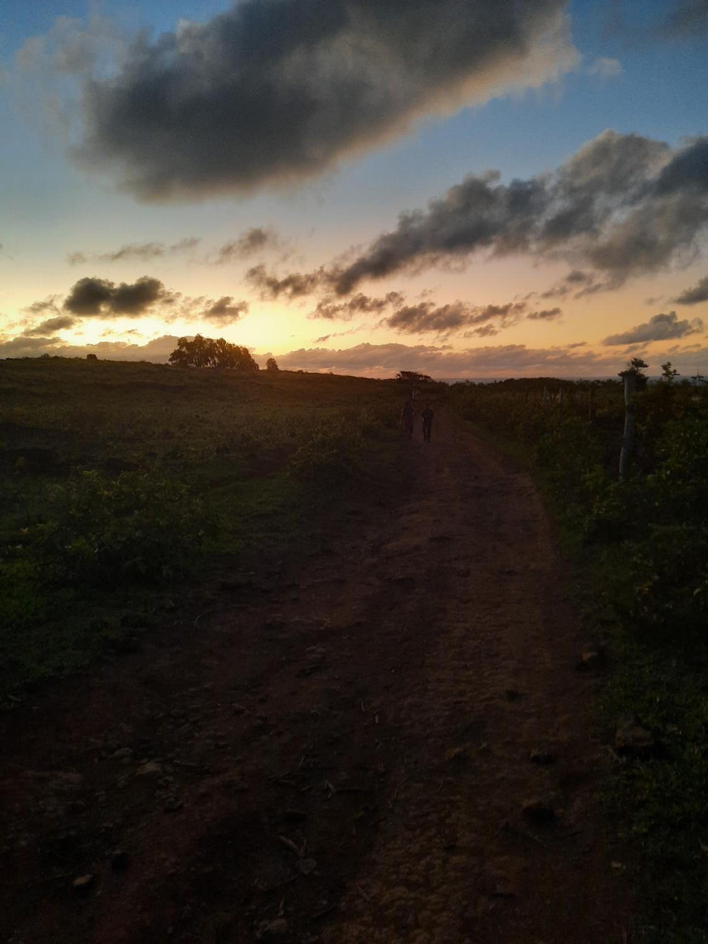 Moehiva Camping Rapa Nui