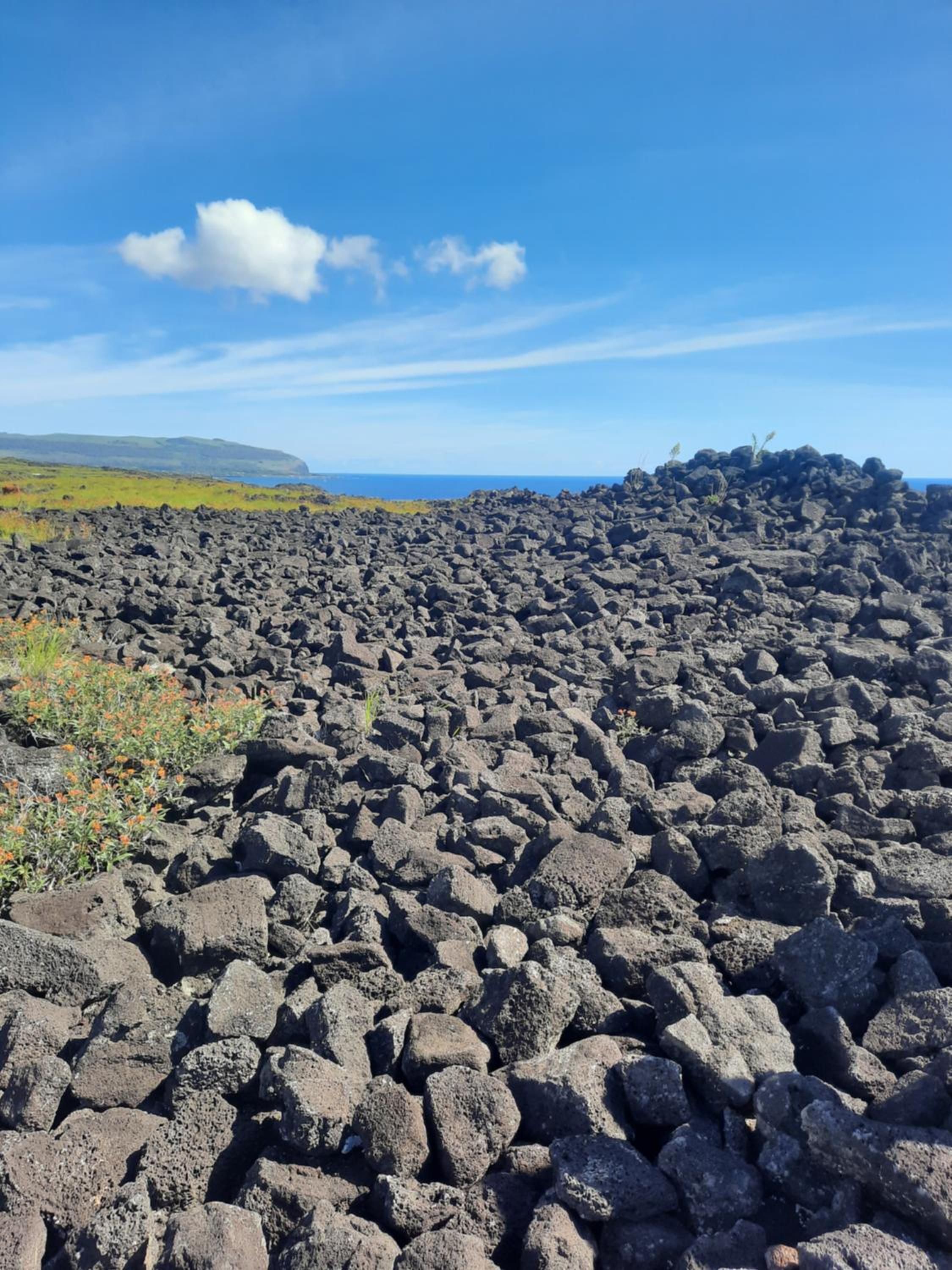 Moehiva Camping Rapa Nui
