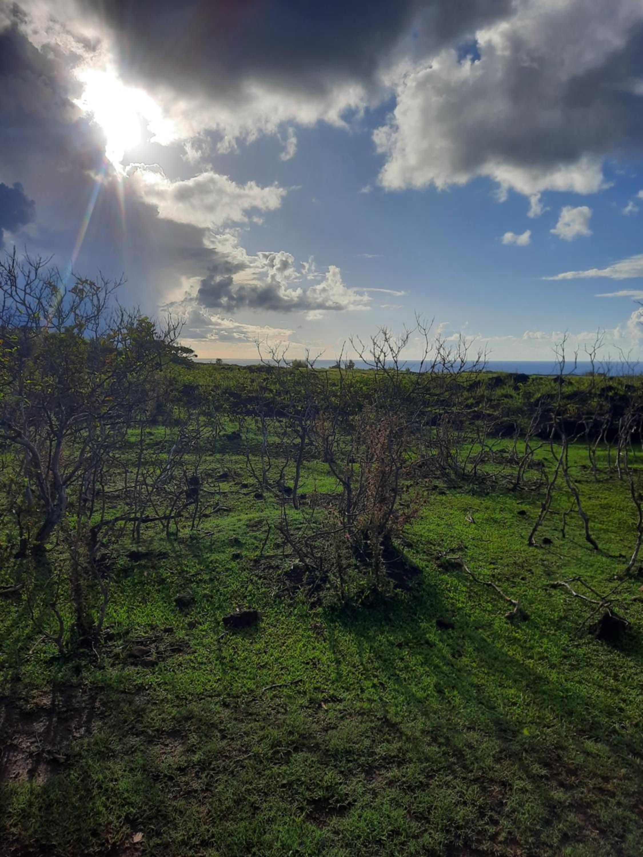 Moehiva Camping Rapa Nui