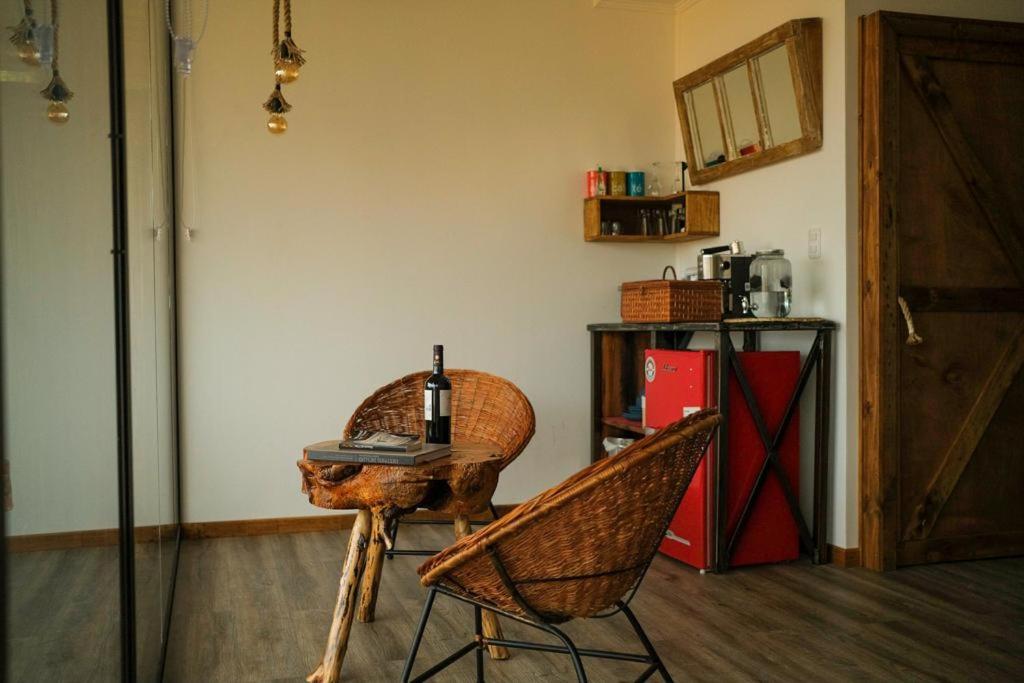 Apalta Lofts, disfruta frente a viñedos