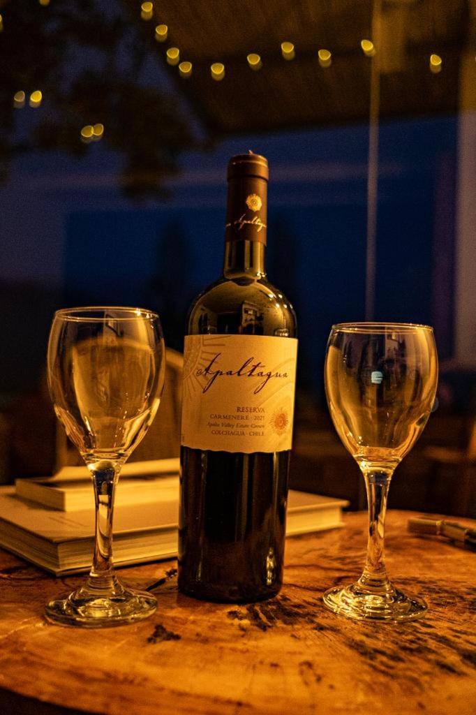 Apalta Lofts, disfruta frente a viñedos