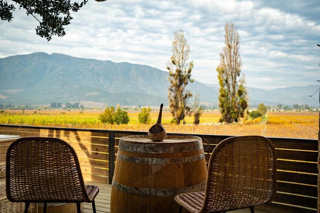 Apalta Lofts, disfruta frente a viñedos