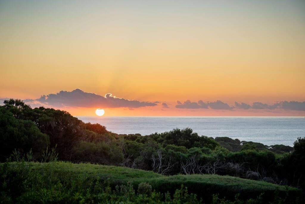 Apricus I Private Properties
