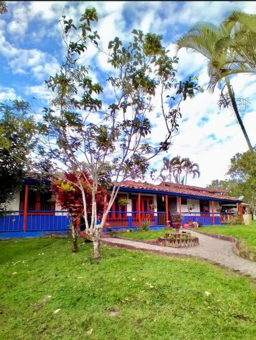 RanchoVista coffee ring The land of Encanto
