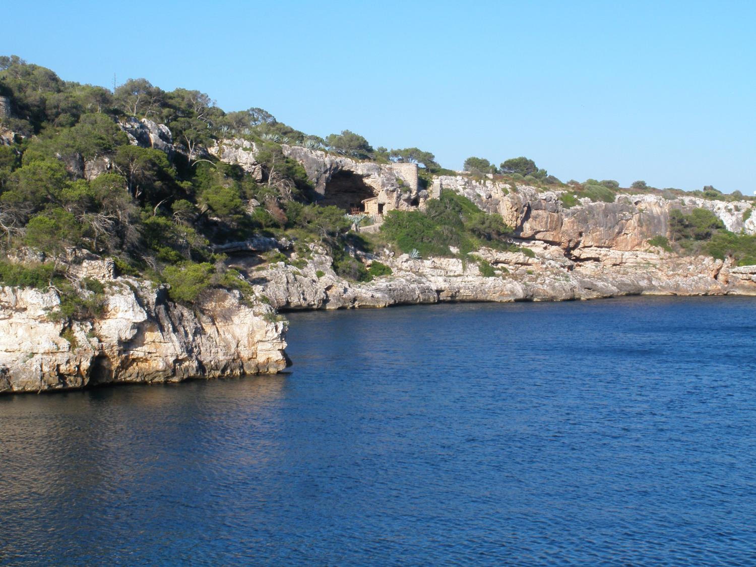 Photo 15