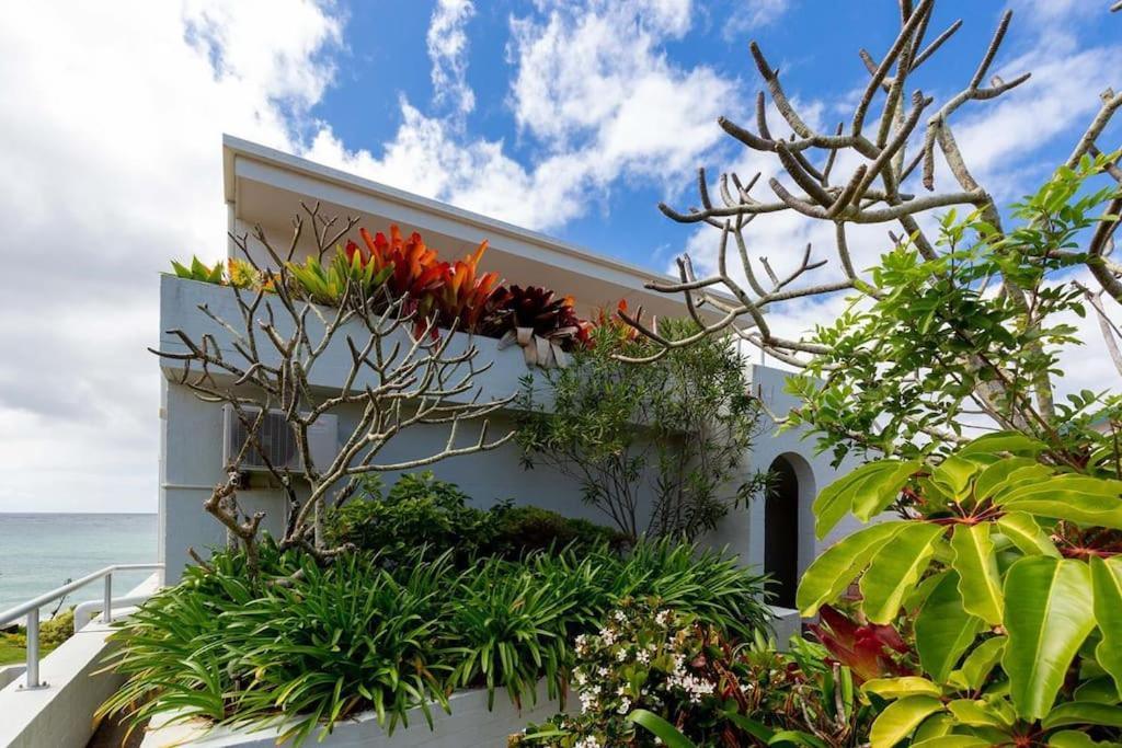 Luxe Oceanfront Penthouse! Yamba's best Suncrest 5
