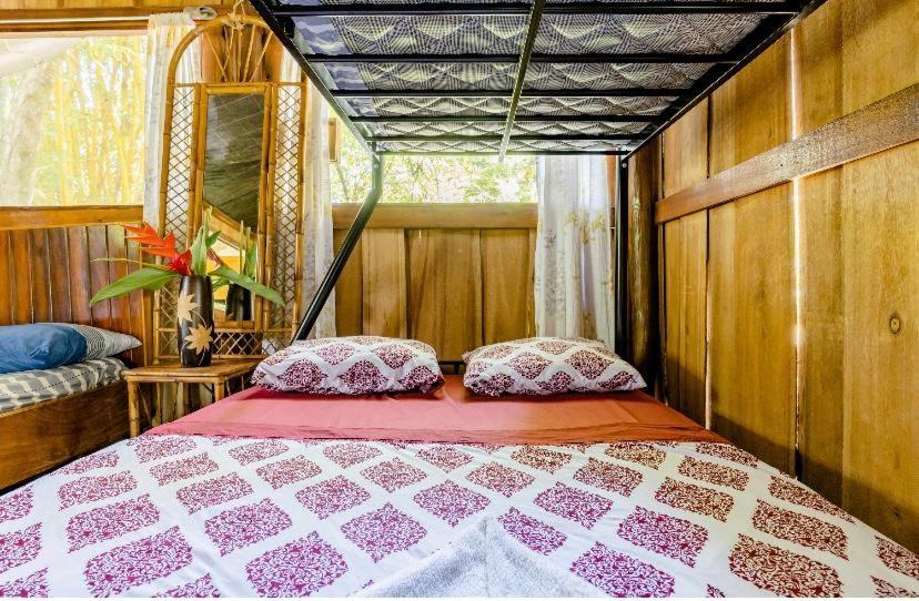 Luminosa Uvita Hostel