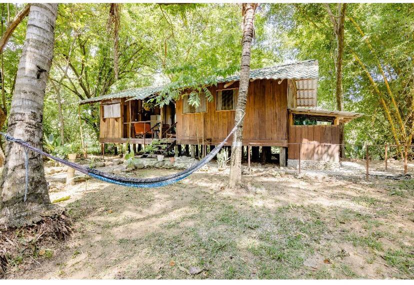 Luminosa Uvita Hostel