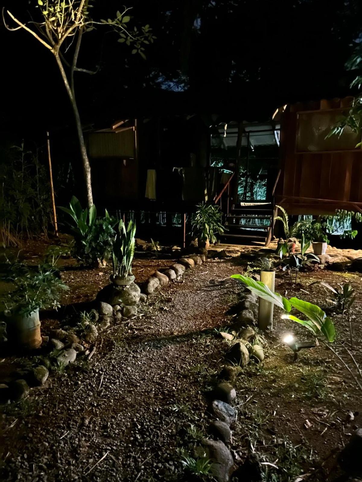 Luminosa Uvita Hostel