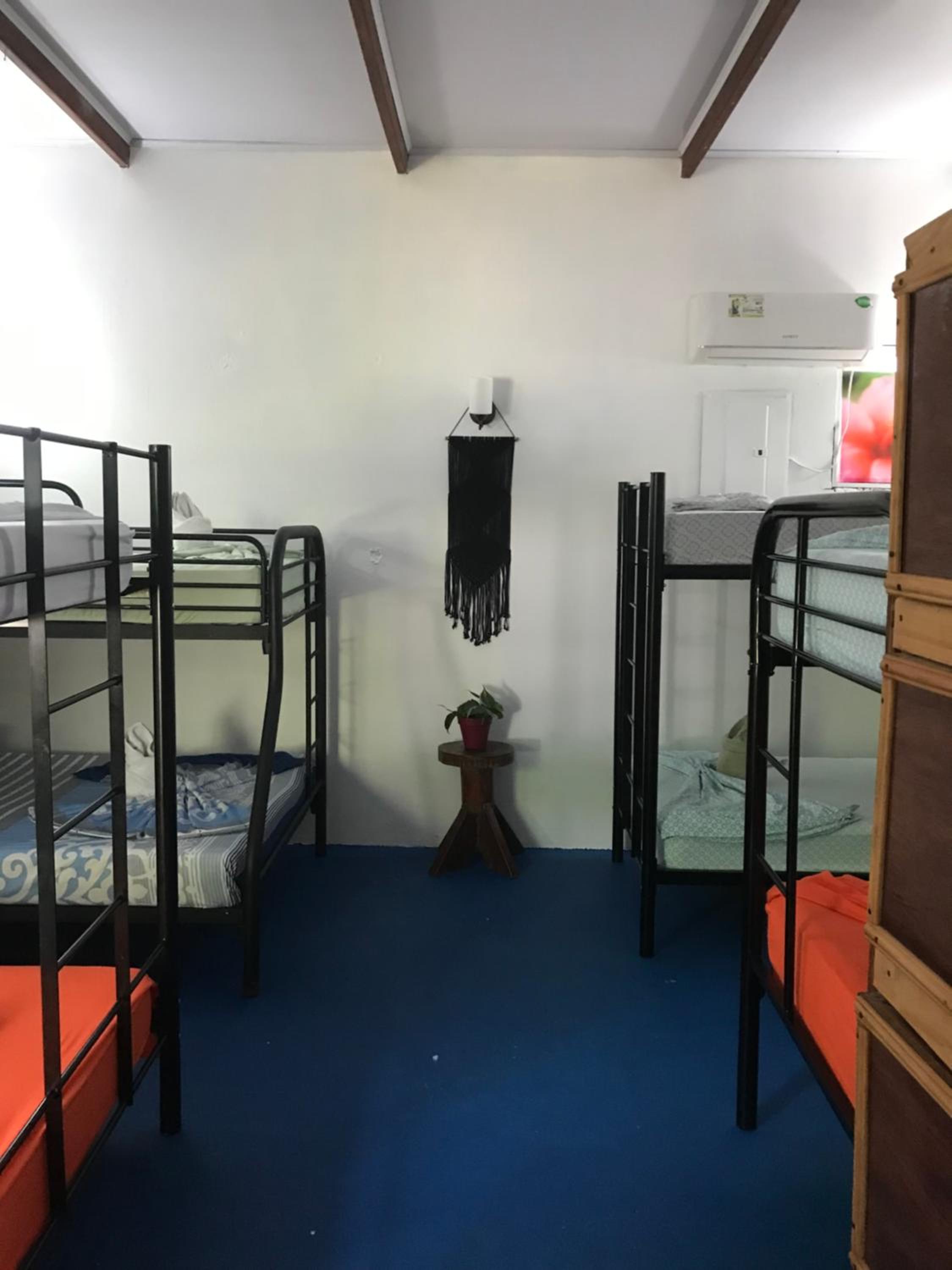 Luminosa Uvita Hostel