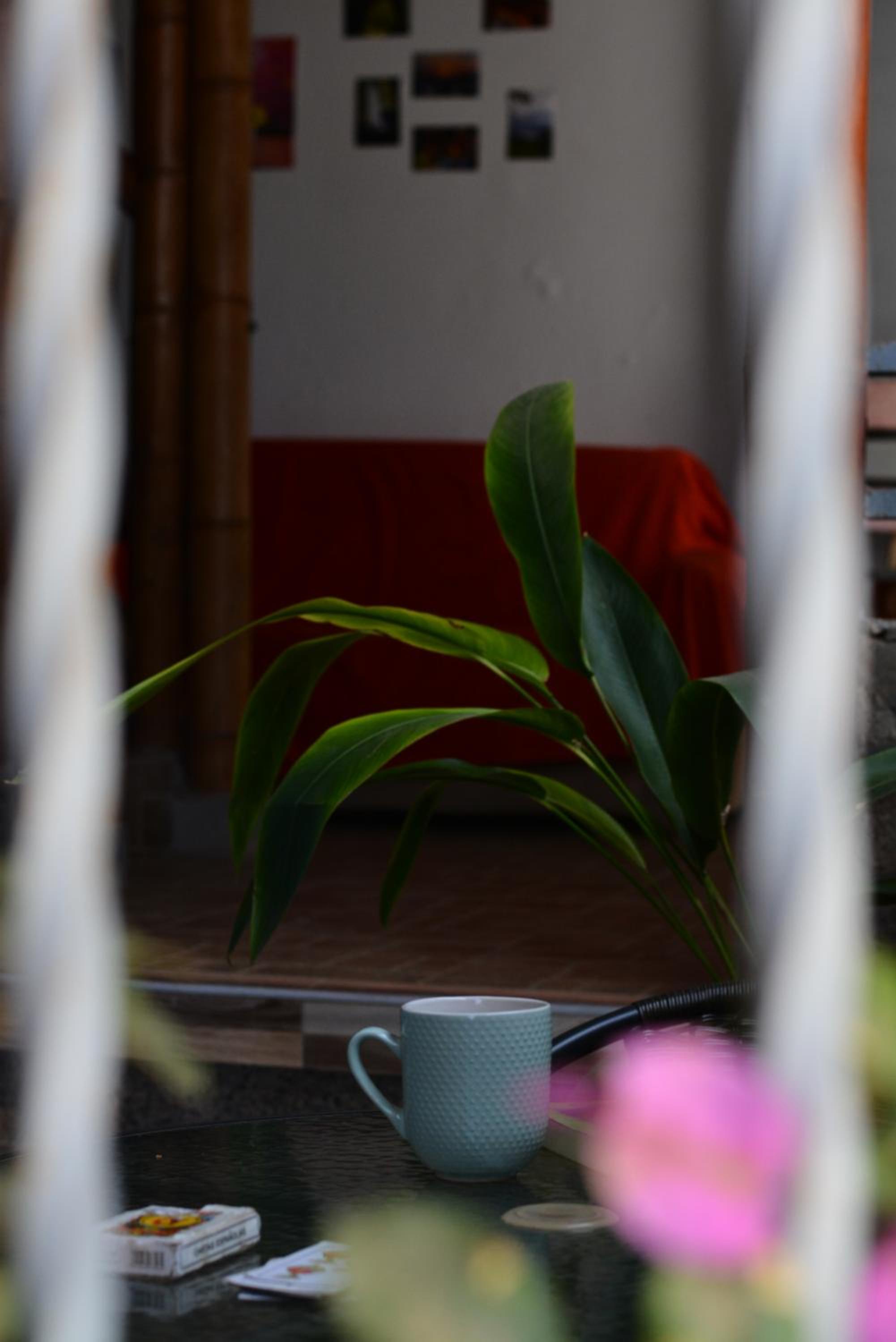Casa MITA Taganga