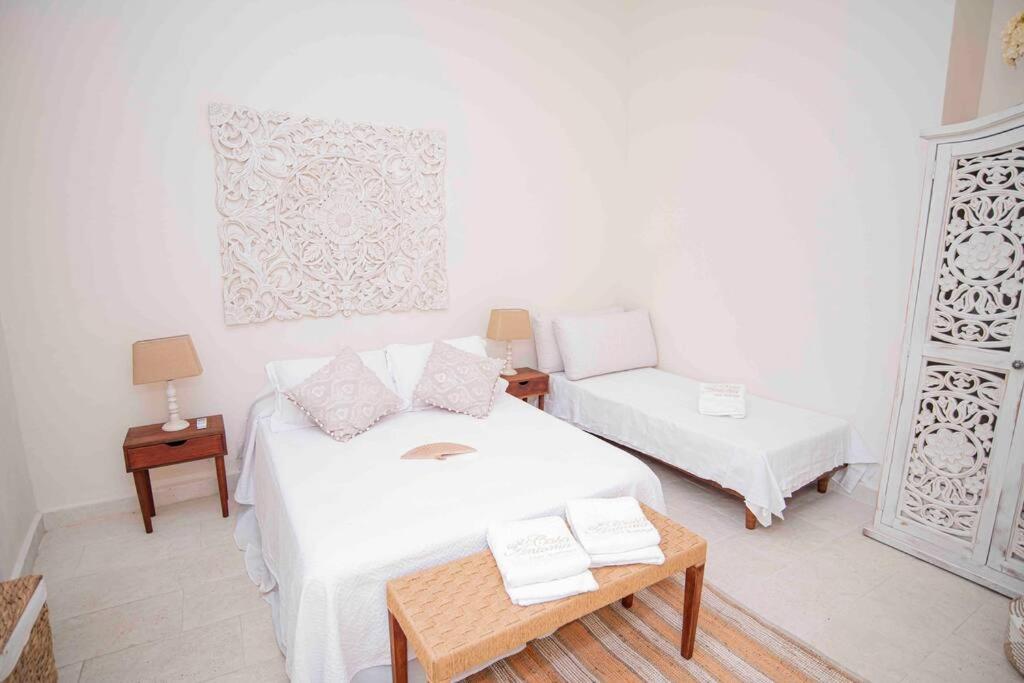 Private house-swimming pool - Old Santa Marta