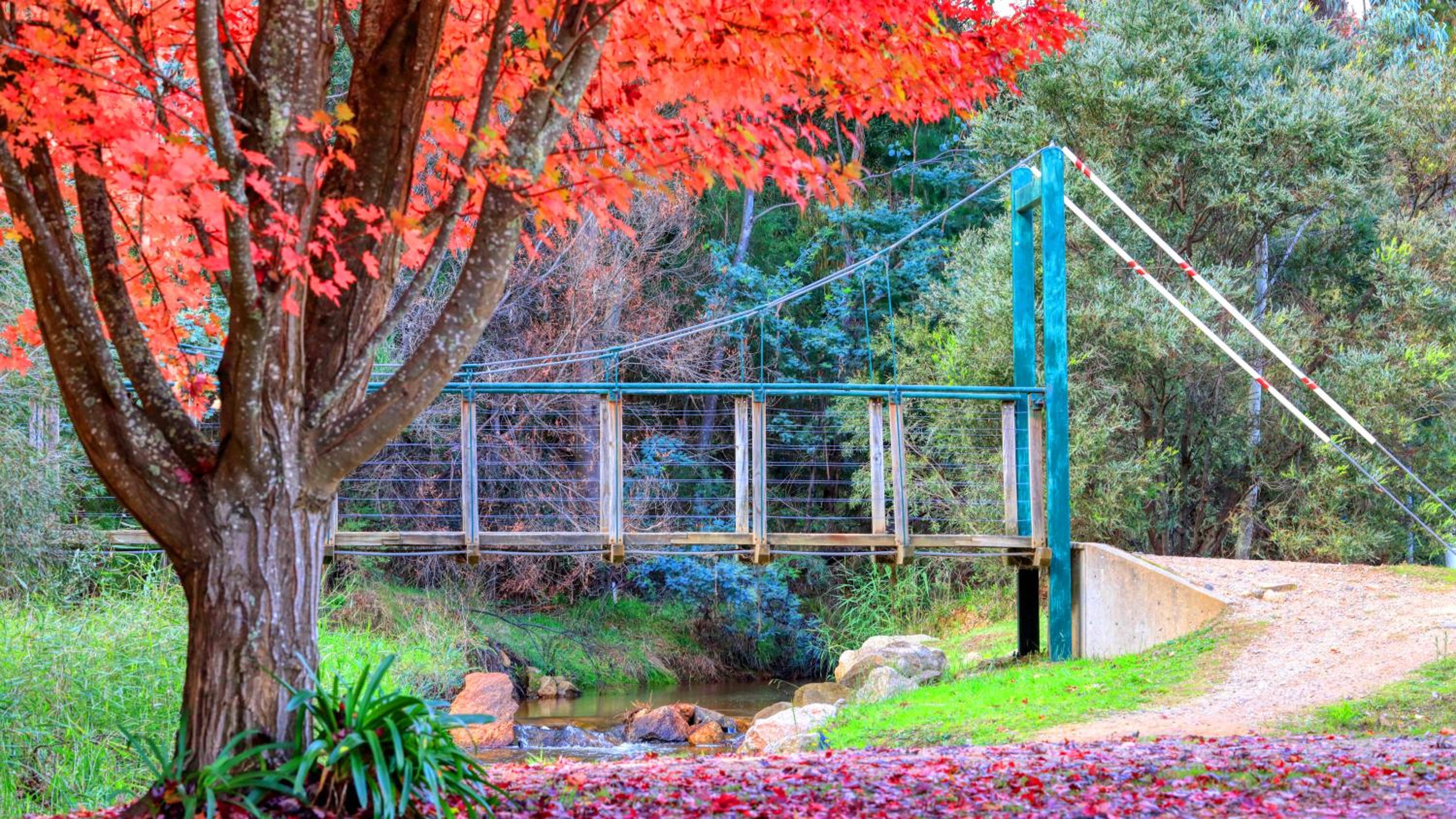 Beechworth Lake Sambell Caravan Park