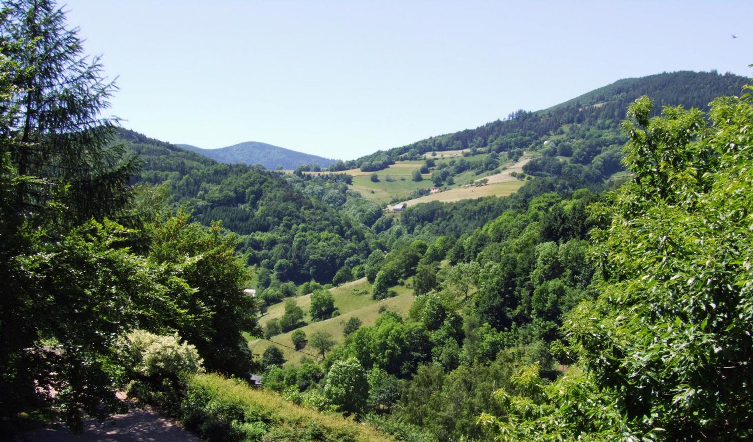 Photo 43