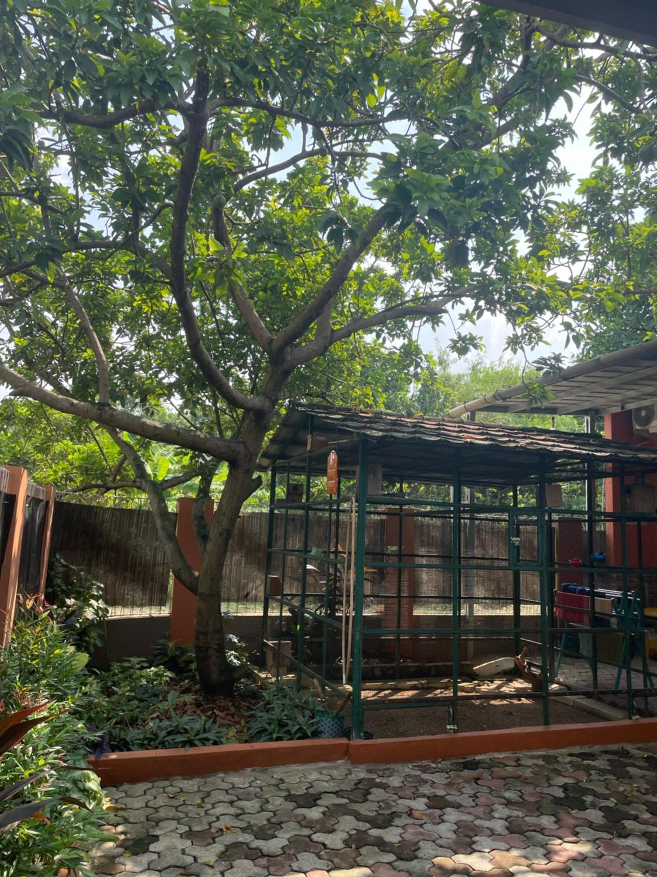 Bu Sur Homestay