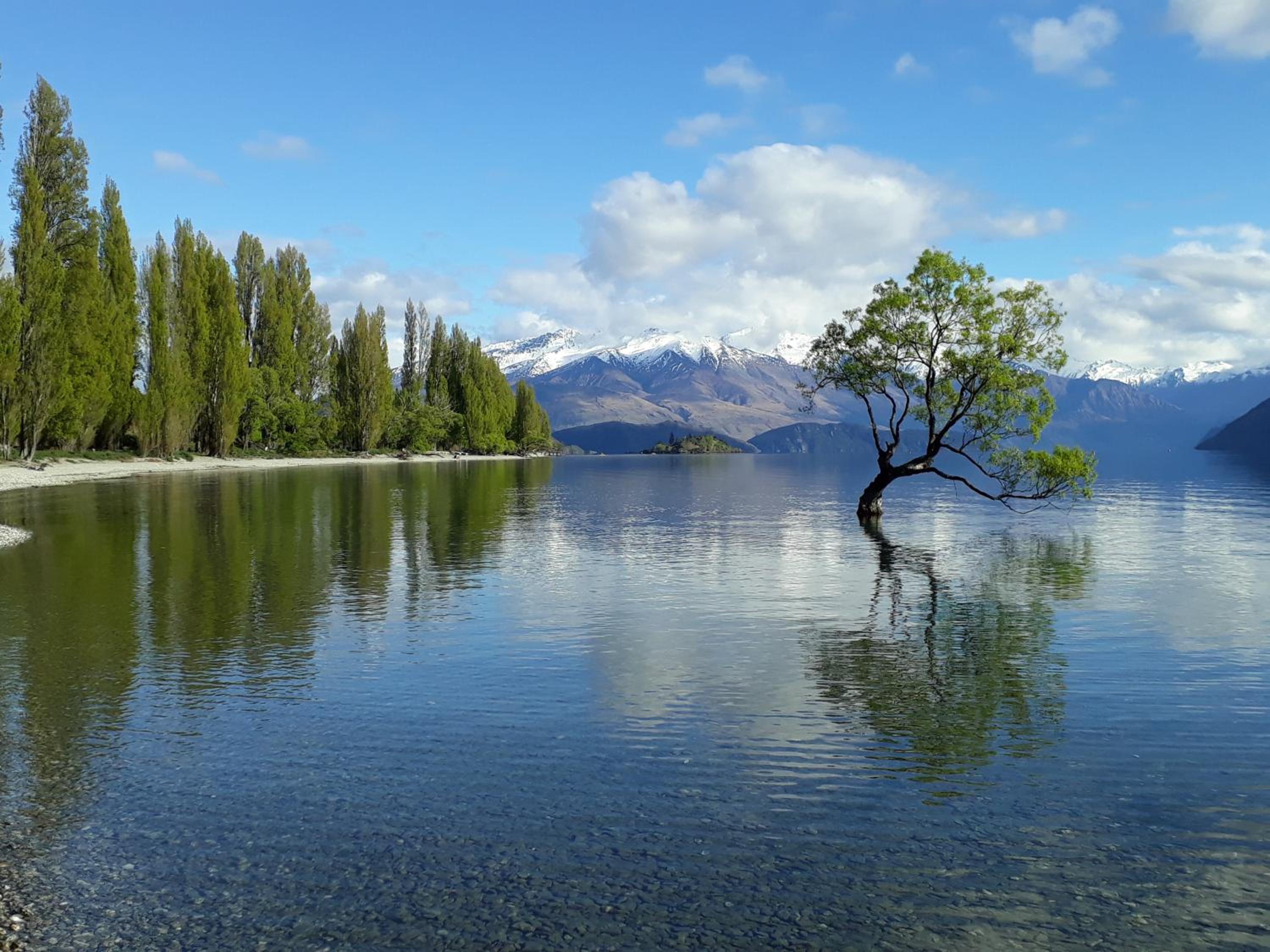 Wanaka Tranquility - Wanaka Holiday Home
