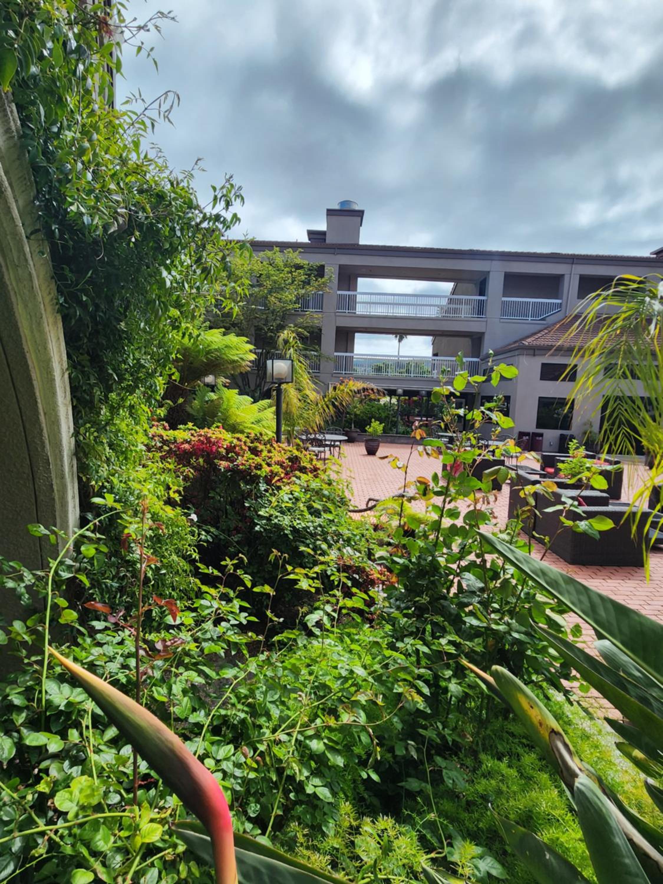 La Quinta by Wyndham San Francisco Airport West - Property Image 7