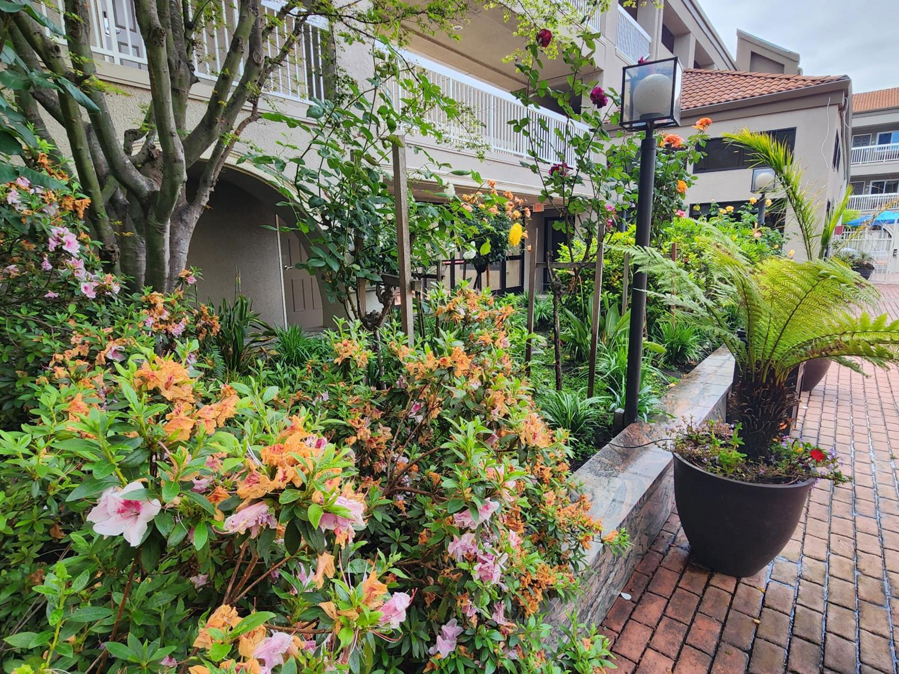 La Quinta by Wyndham San Francisco Airport West - Property Image 4