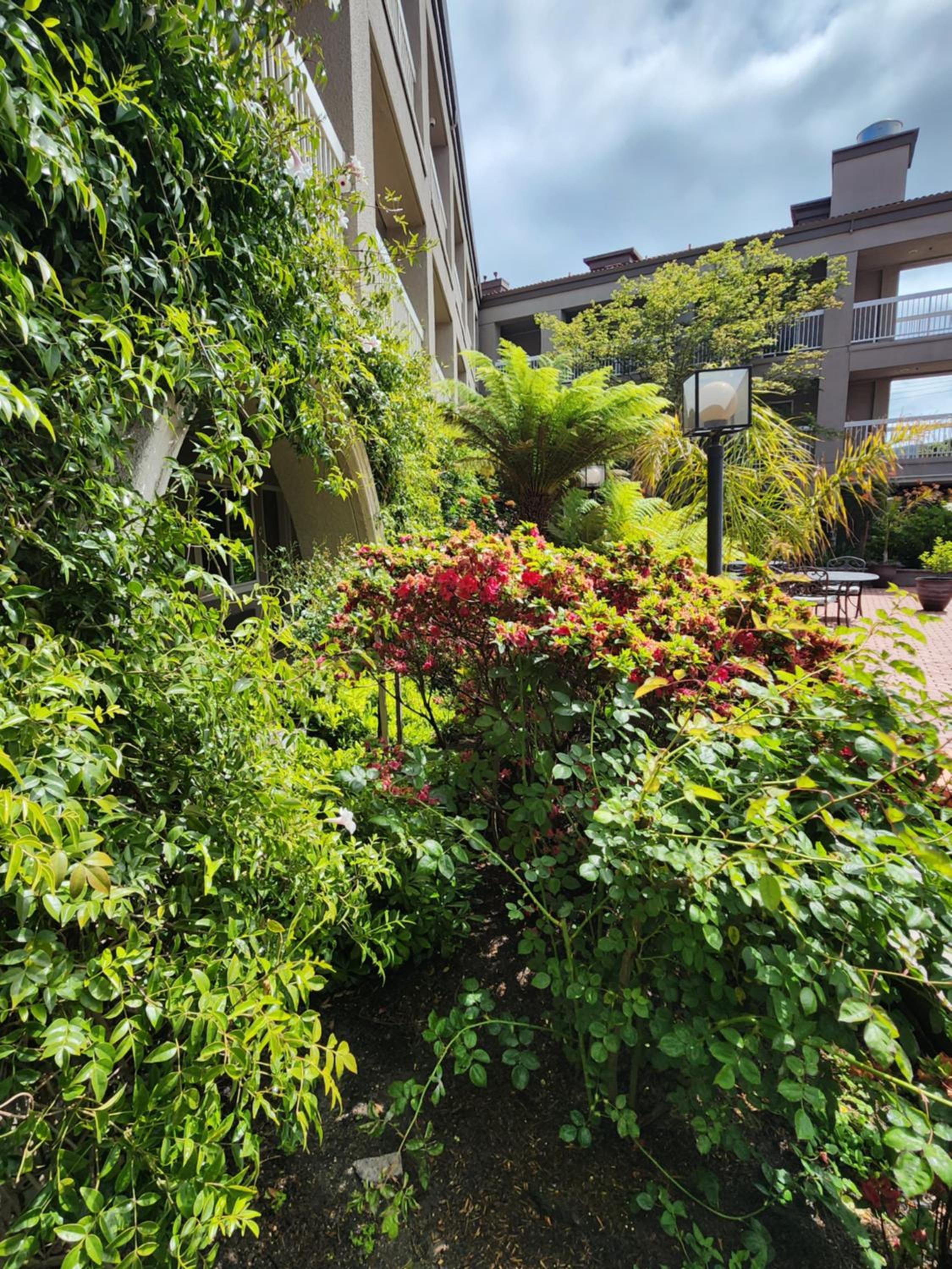 La Quinta by Wyndham San Francisco Airport West - Property Image 36