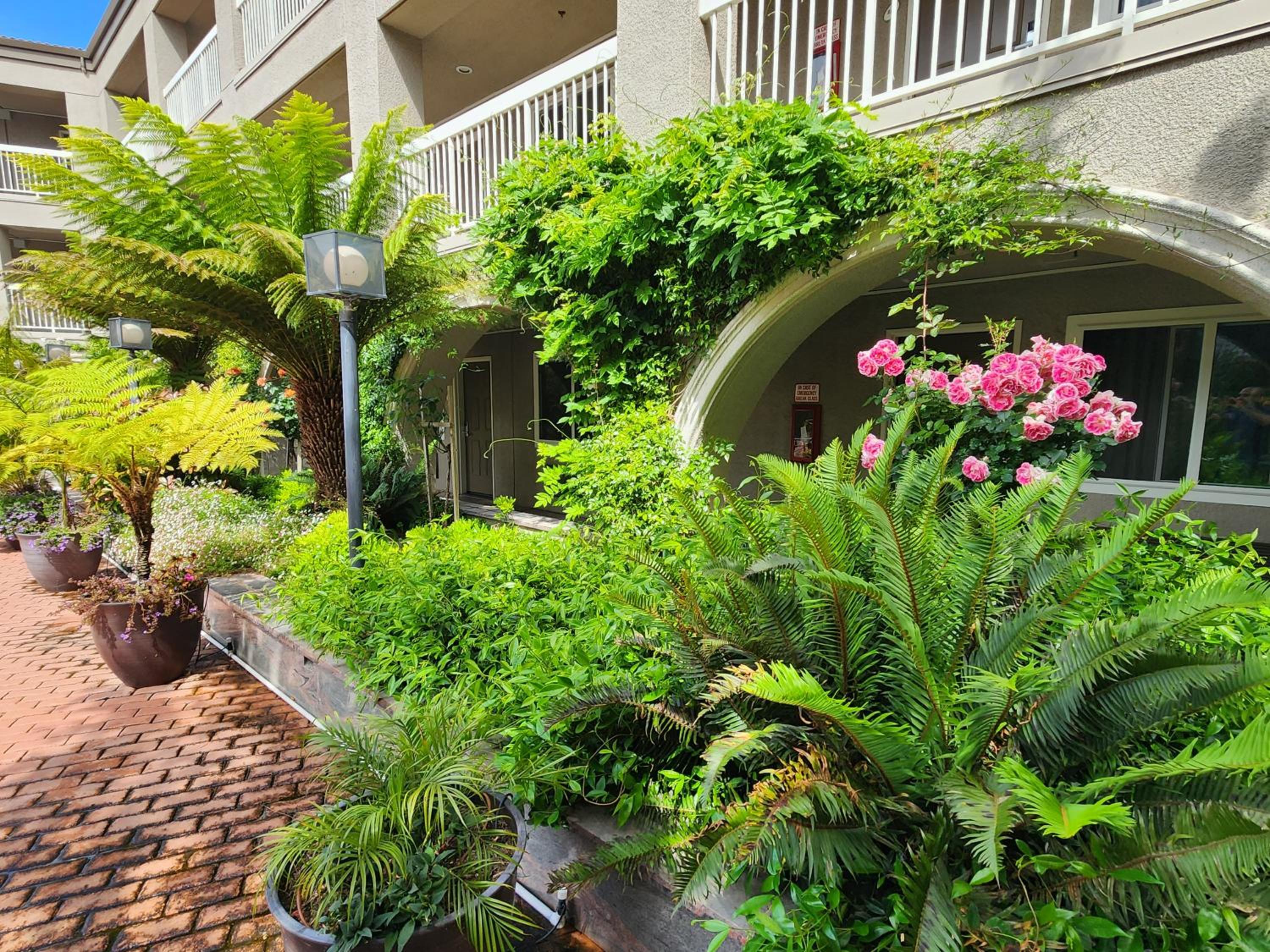 La Quinta by Wyndham San Francisco Airport West - Property Image 26